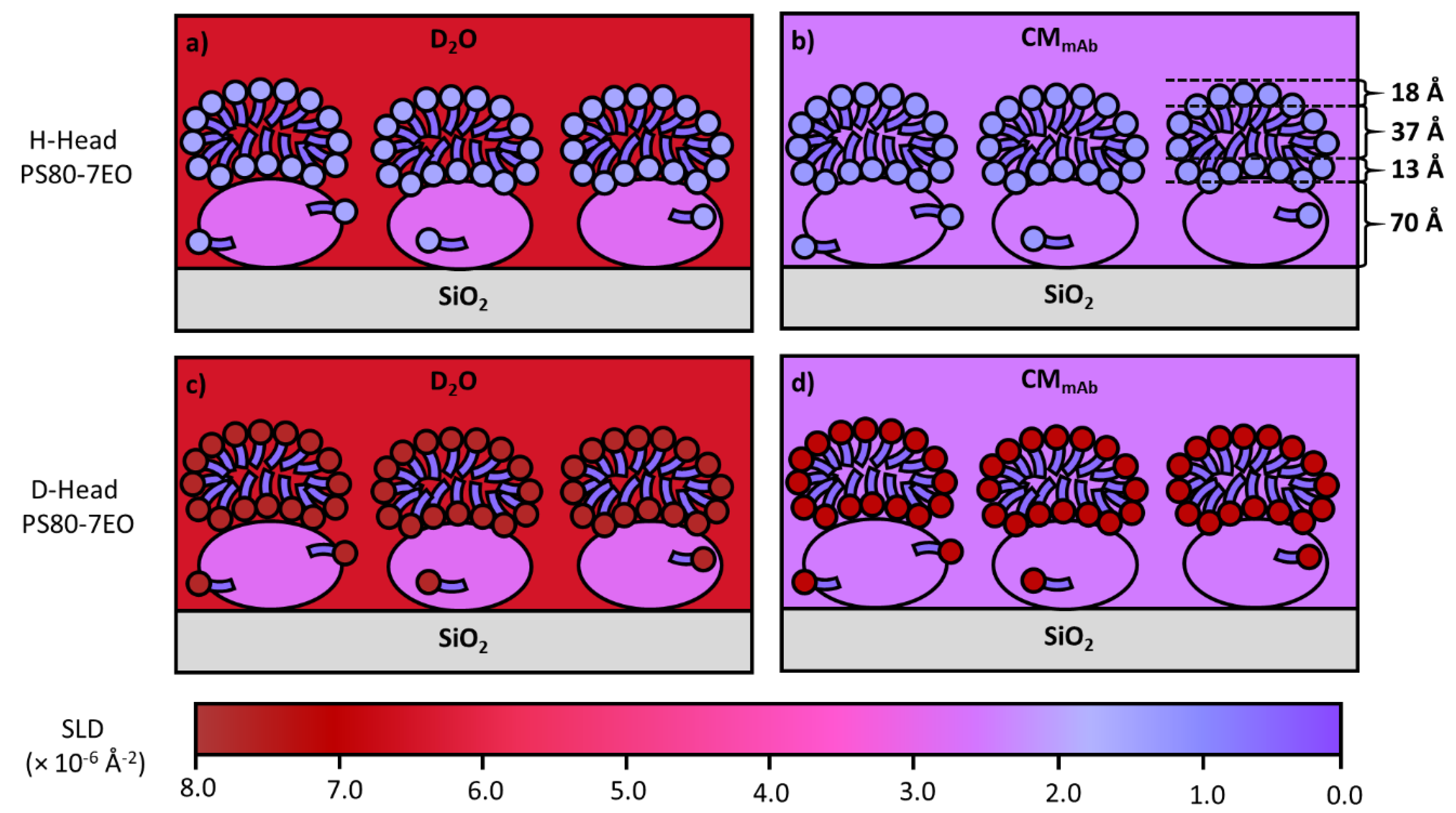 Molecules 25 02047 g011