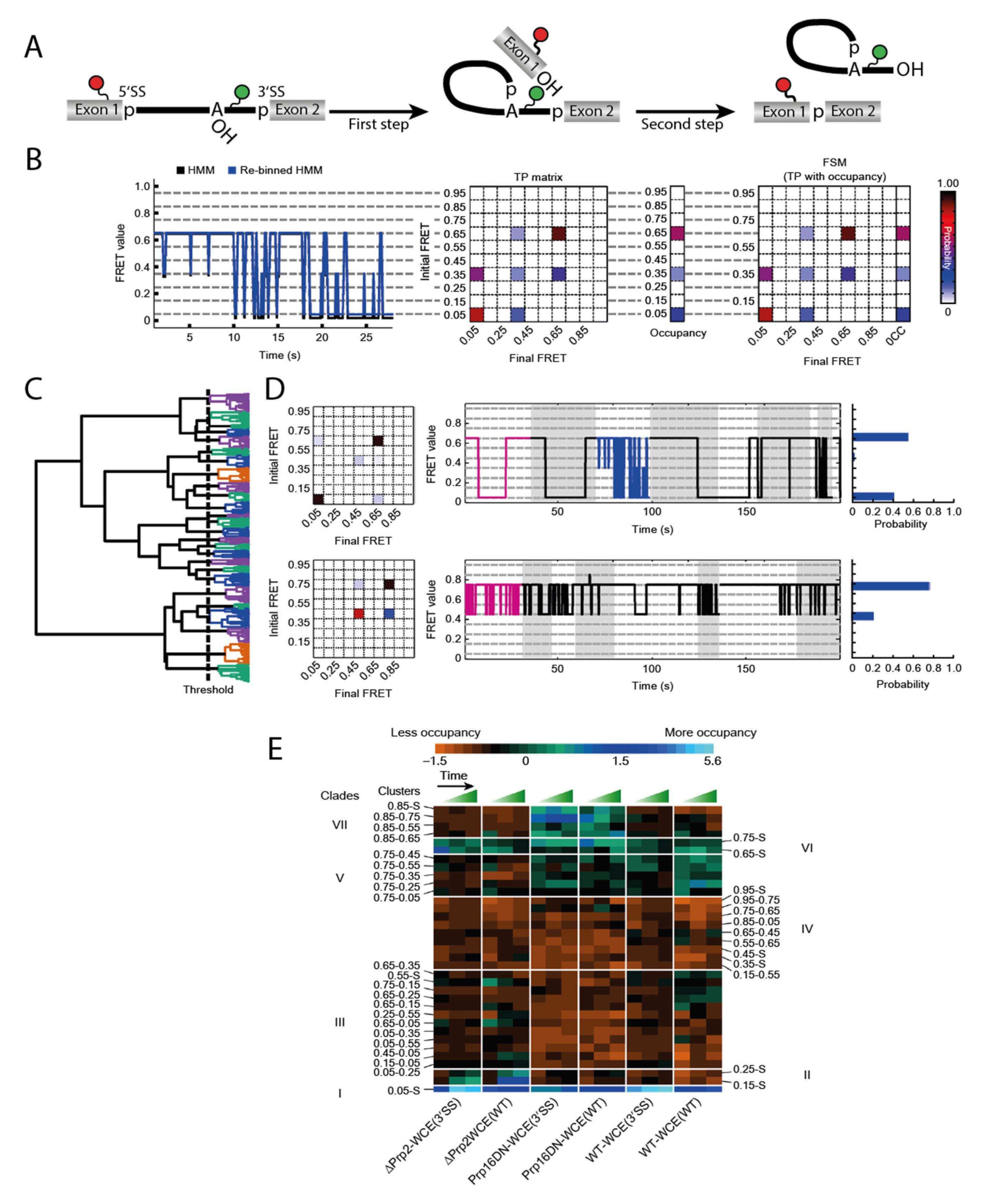 Molecules 25 02057 g003