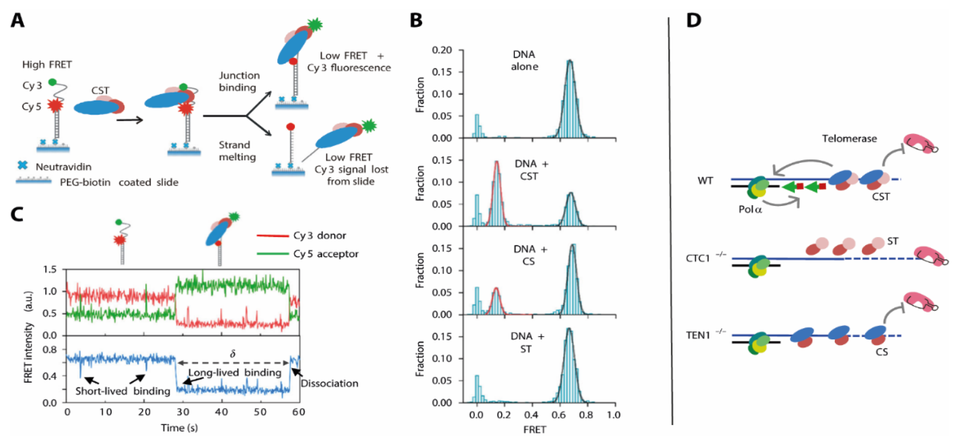 Molecules 25 02057 g009