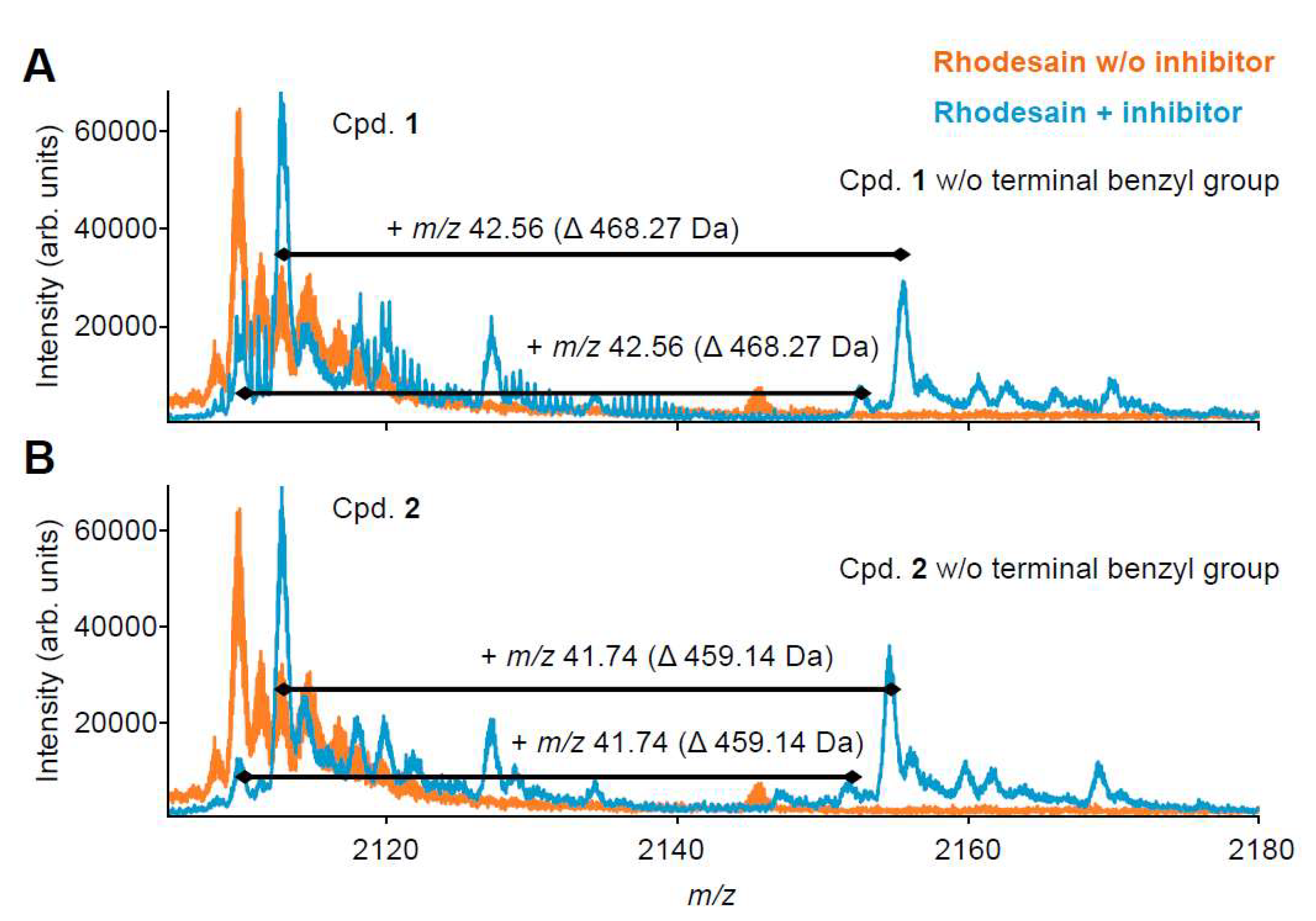 Molecules 25 02064 g005