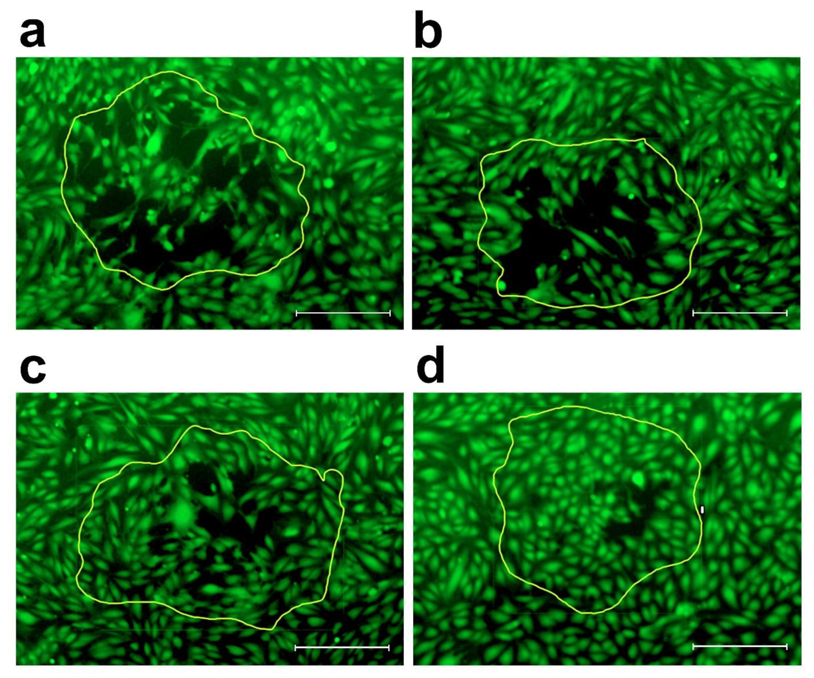 Molecules 25 02066 g005