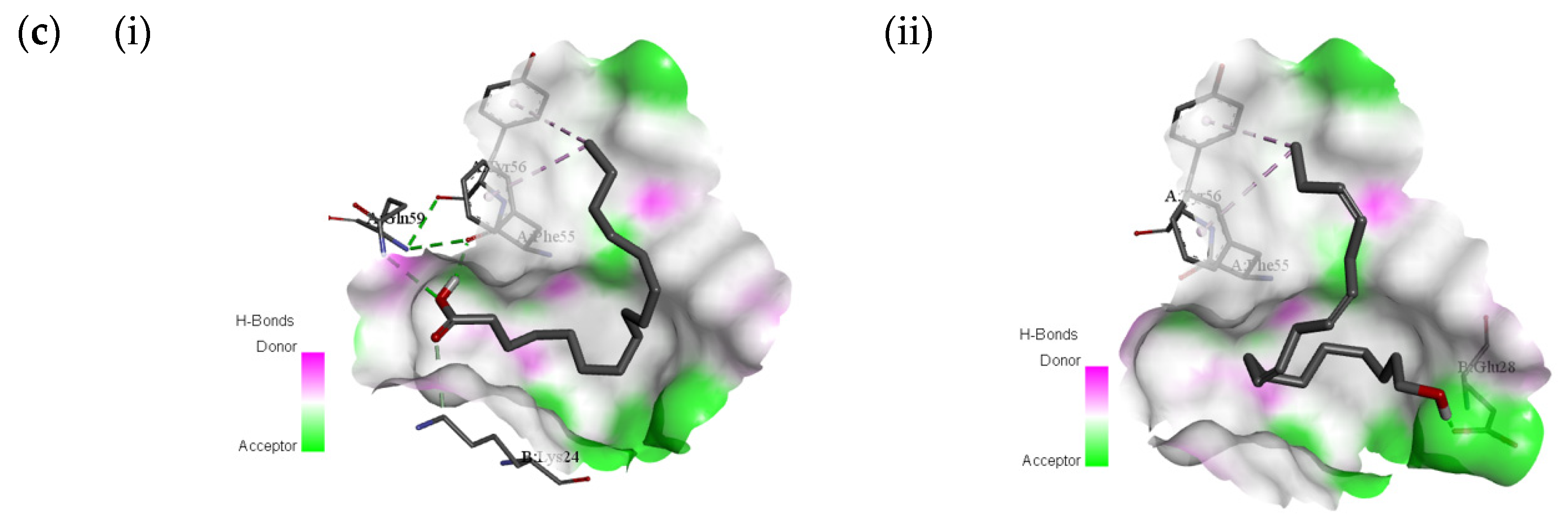 Molecules 25 02067 g004b Molecules 25 02067 g004b