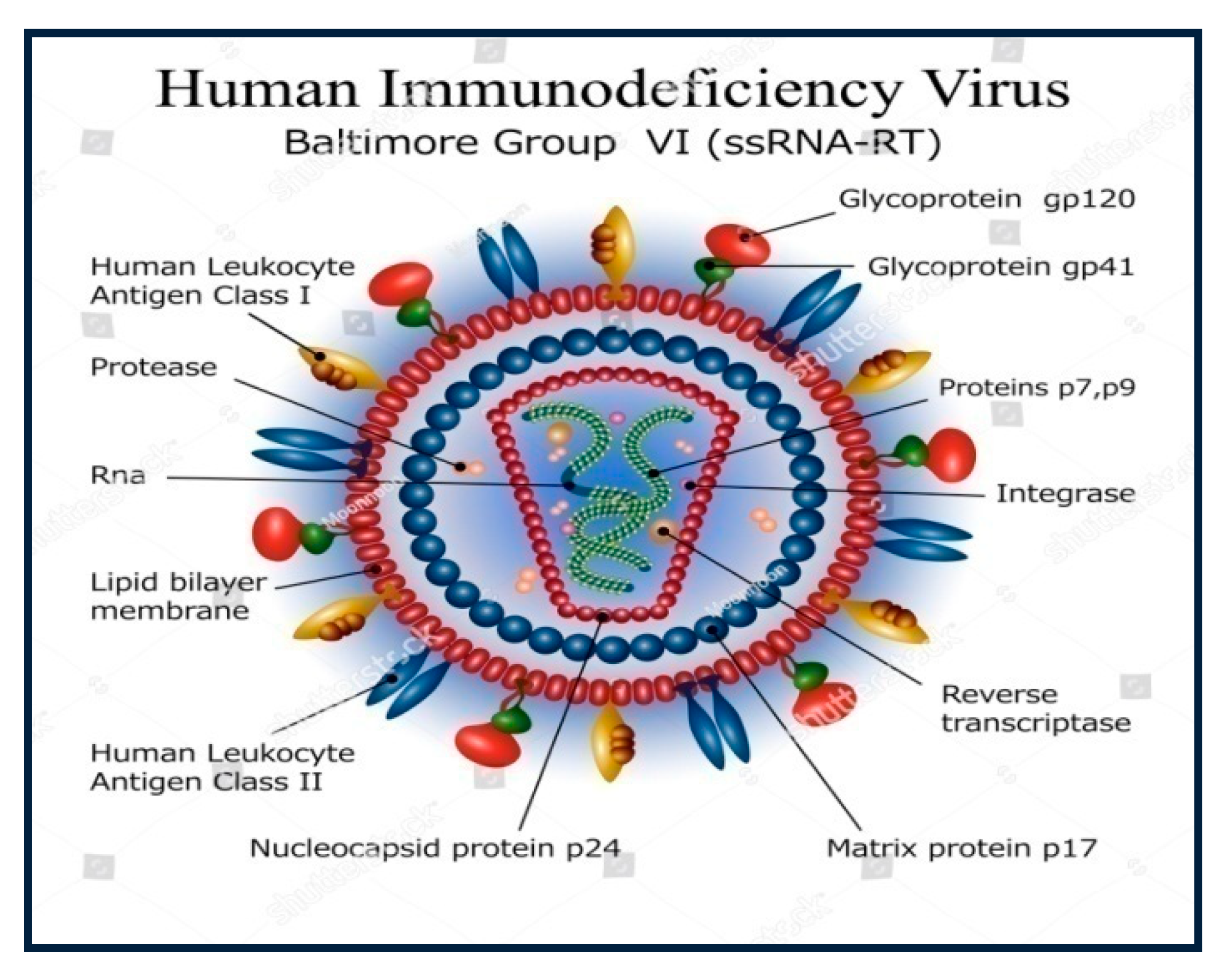 Molecules 25 02070 g001