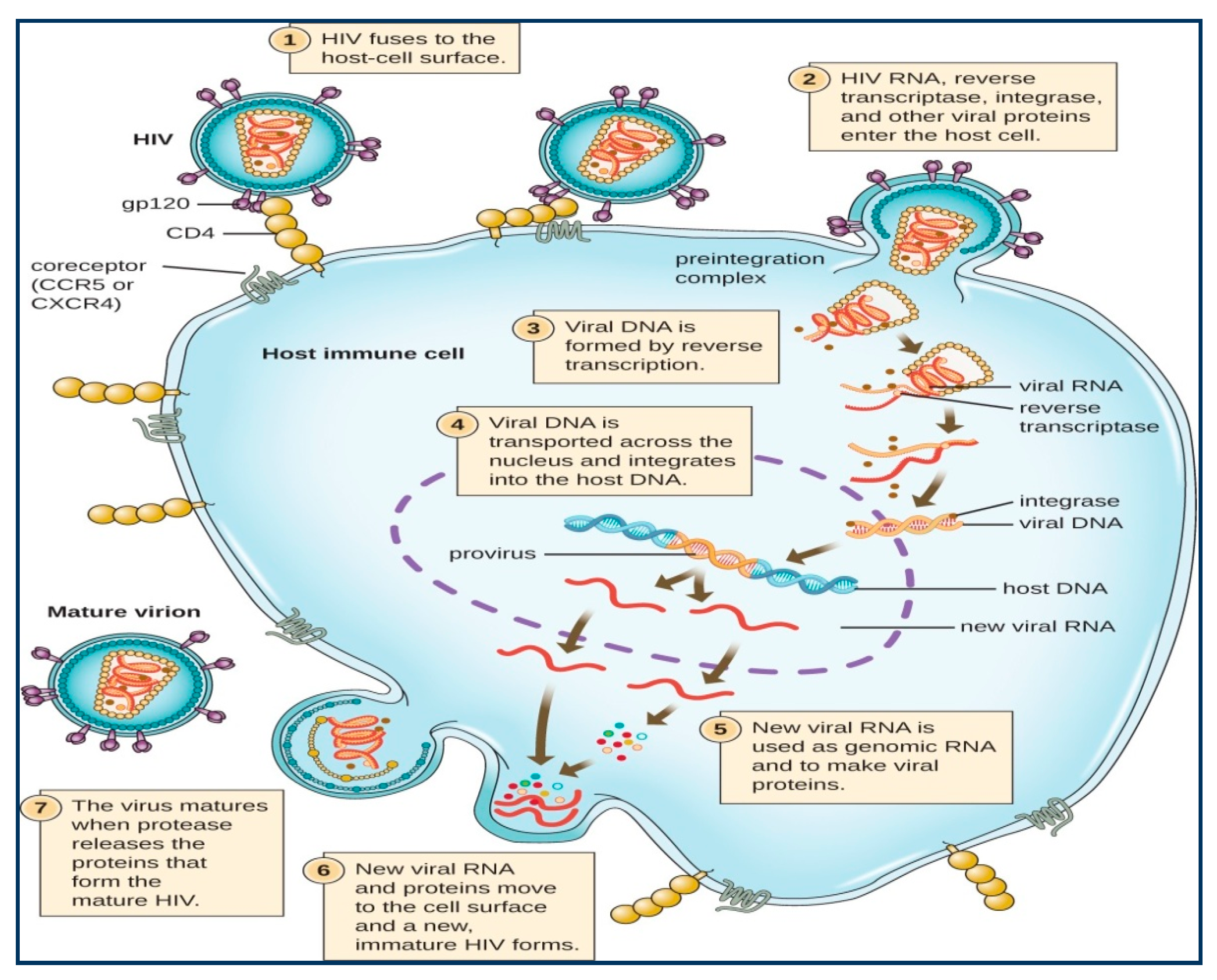 Molecules 25 02070 g002