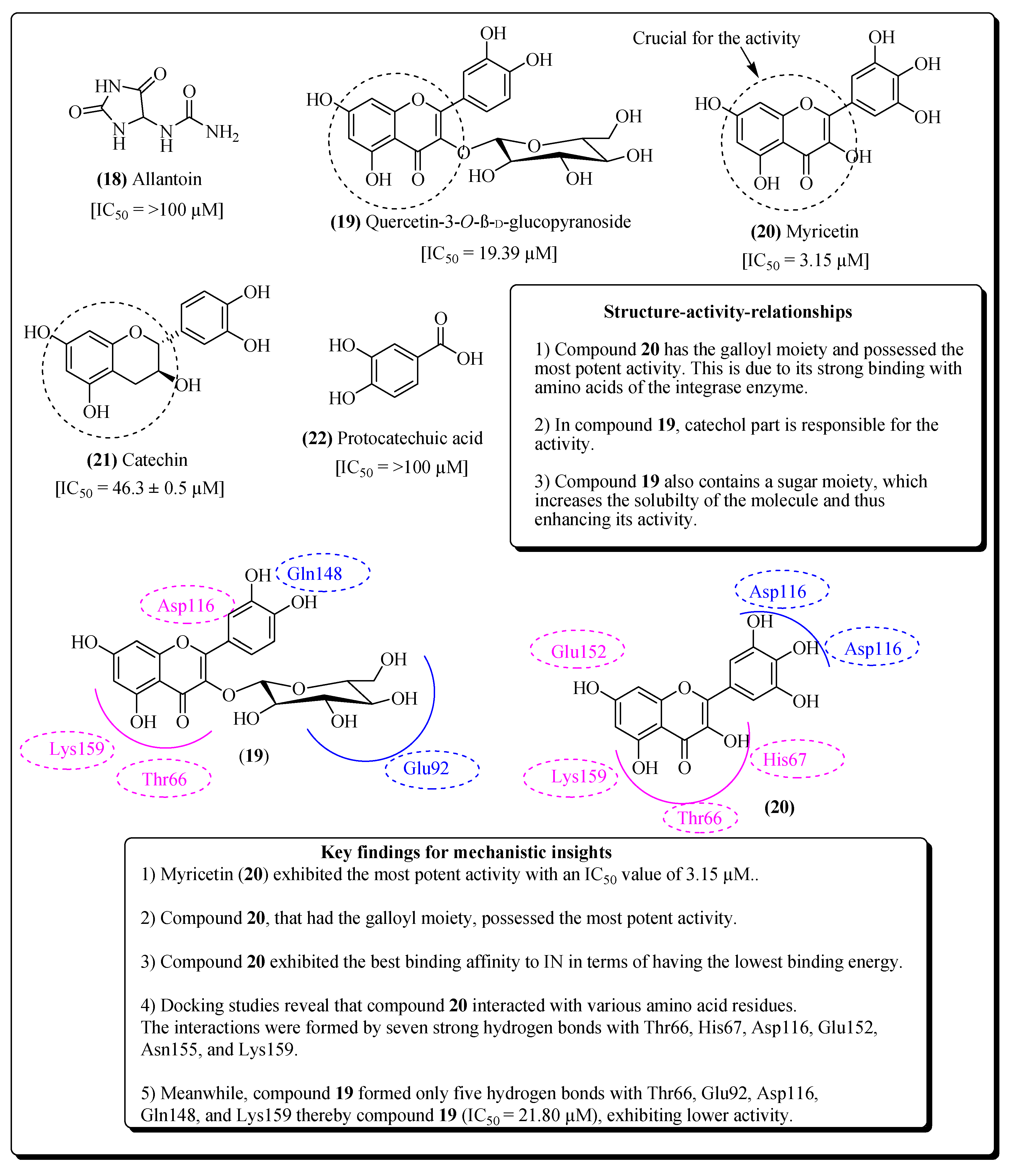 Molecules 25 02070 g006