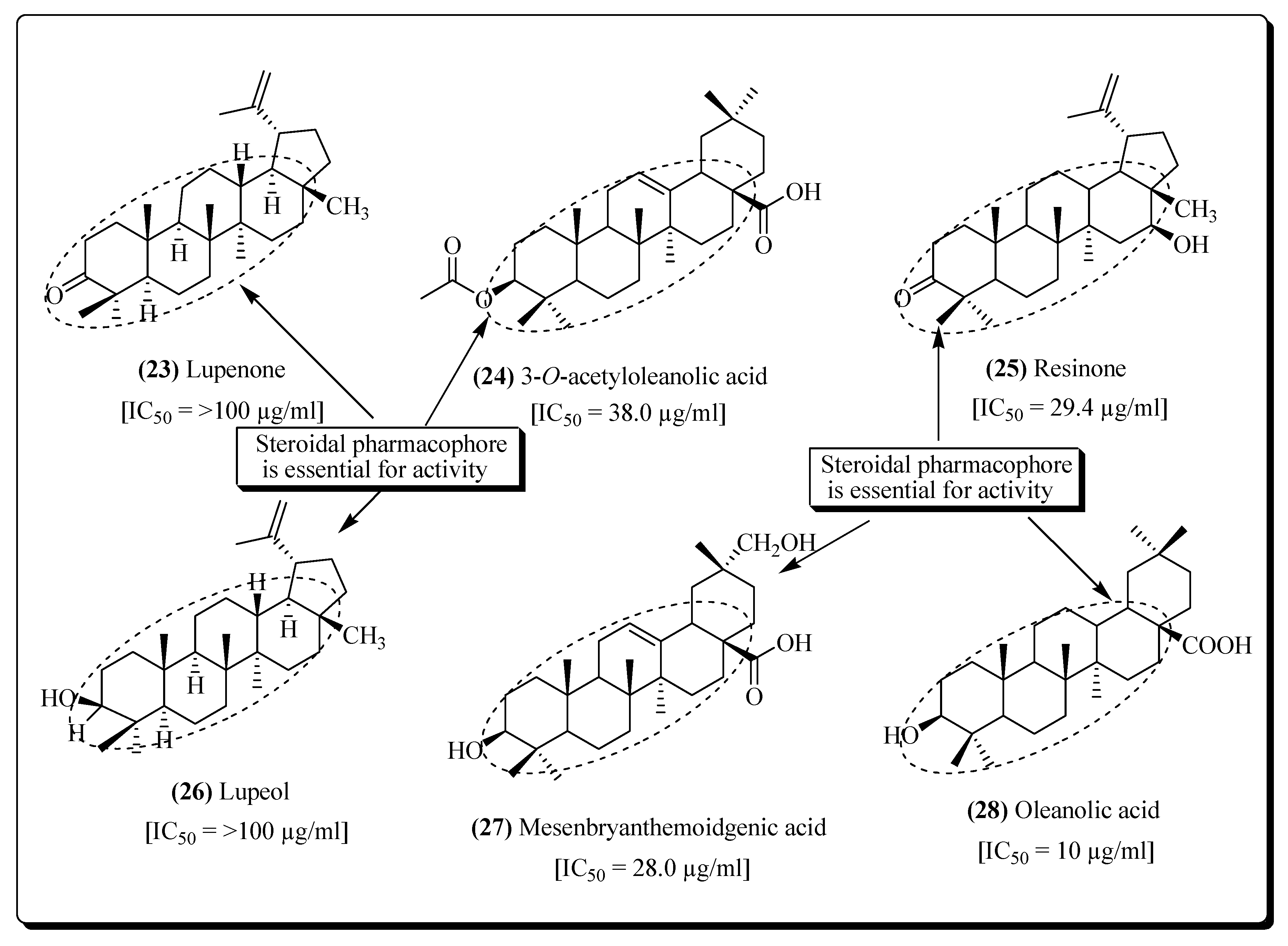 Molecules 25 02070 g007