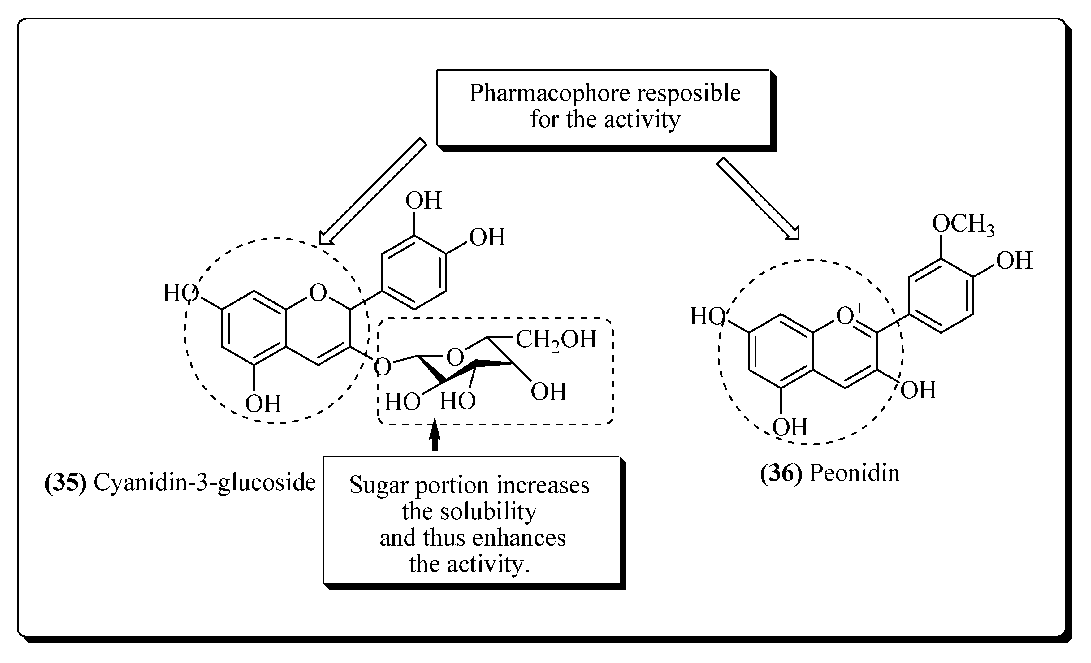 Molecules 25 02070 g009