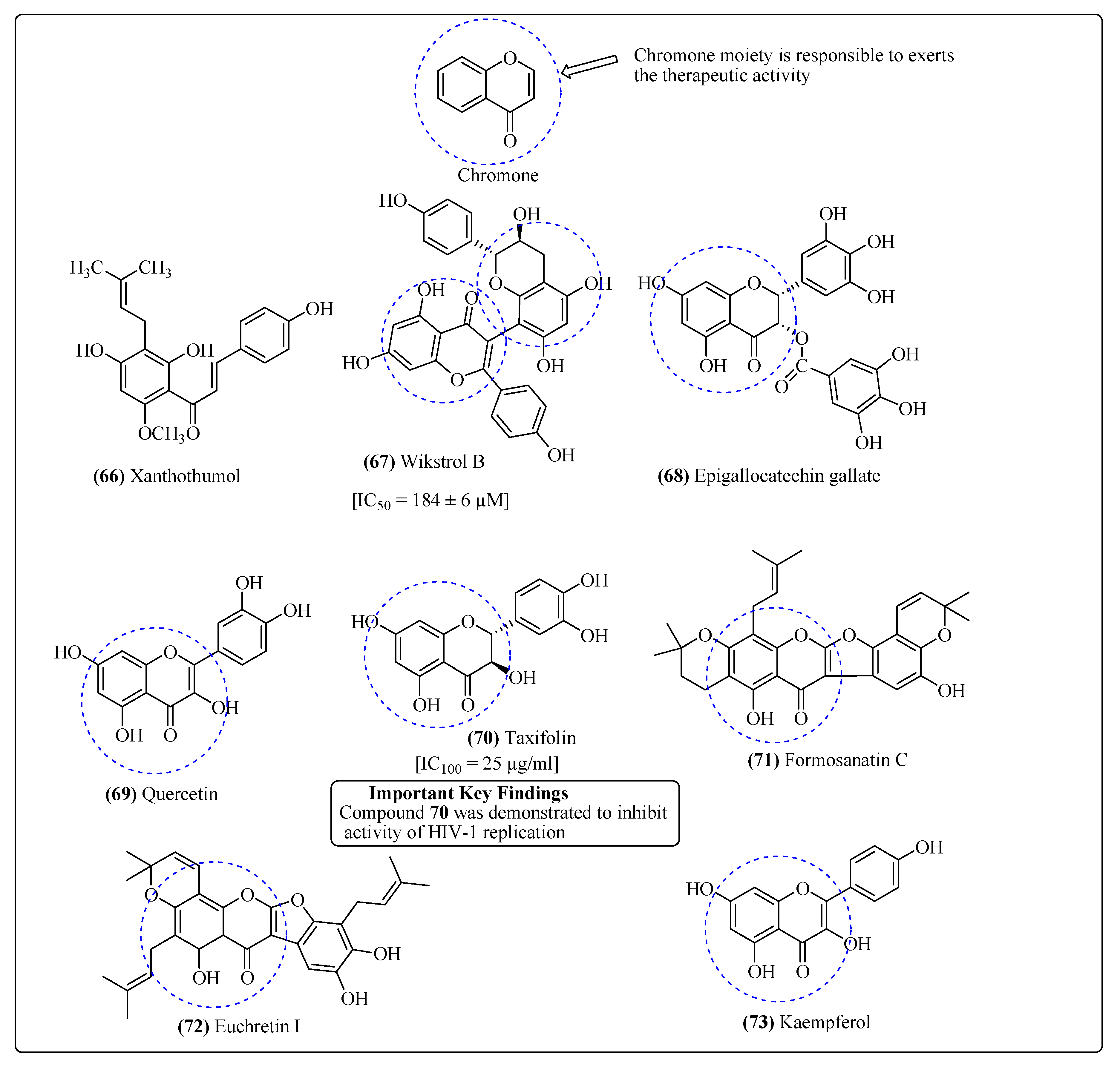 Molecules 25 02070 g014