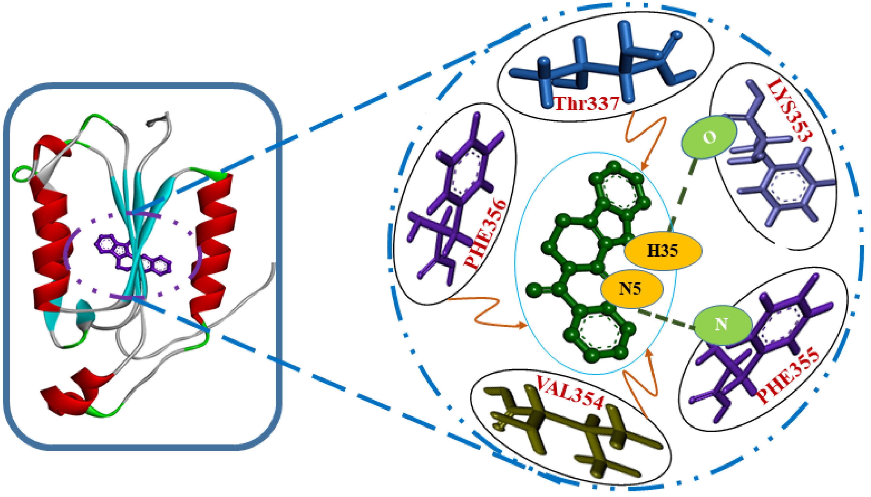 Molecules 25 02071 g001