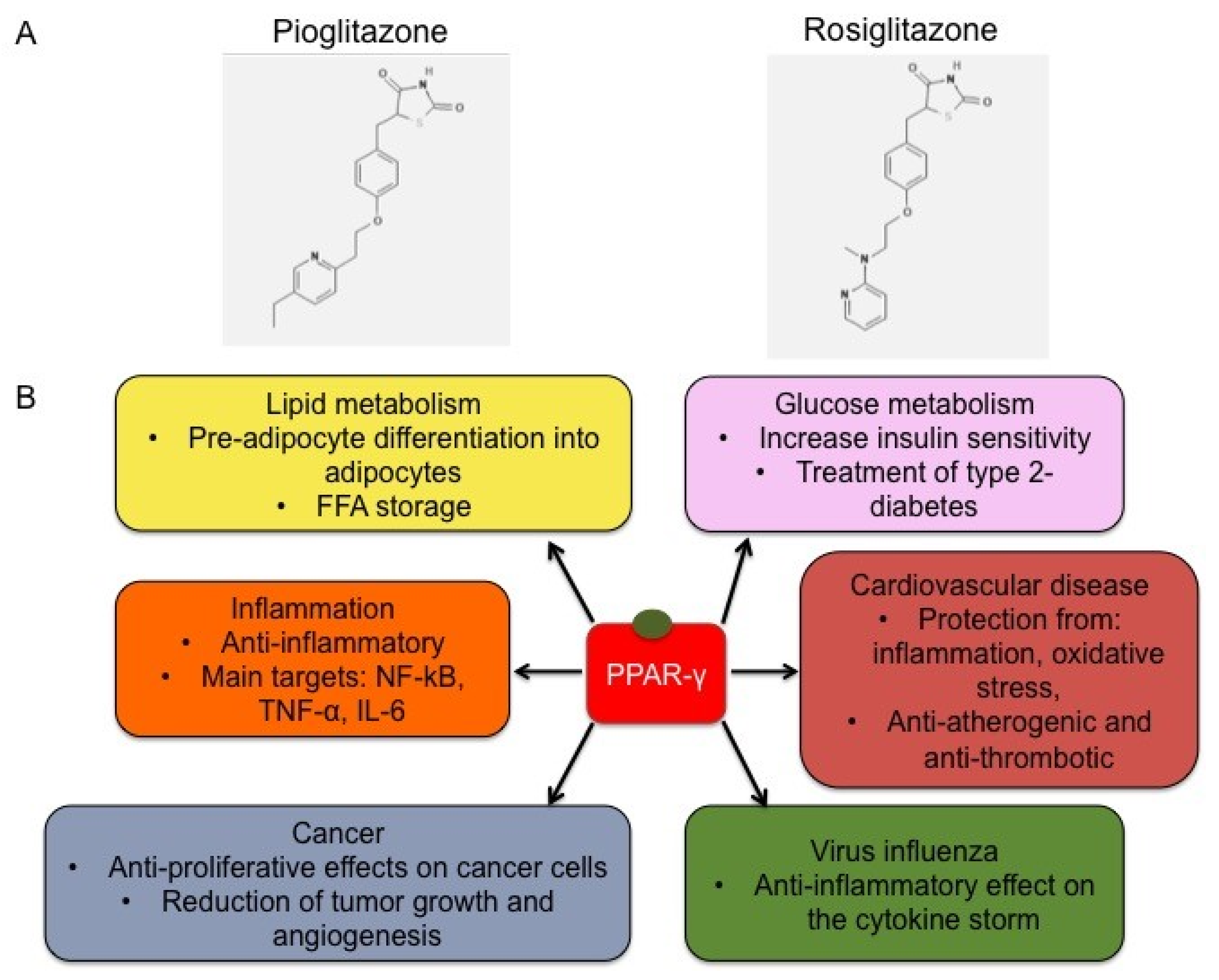 Molecules 25 02076 g002