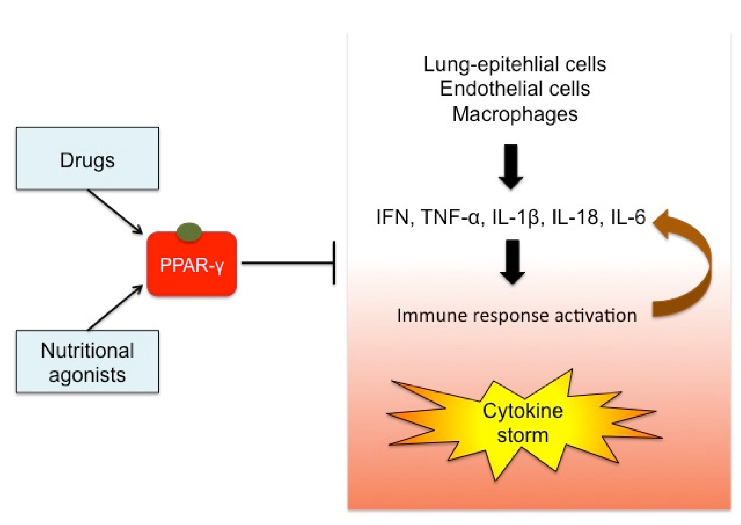 Molecules 25 02076 g003