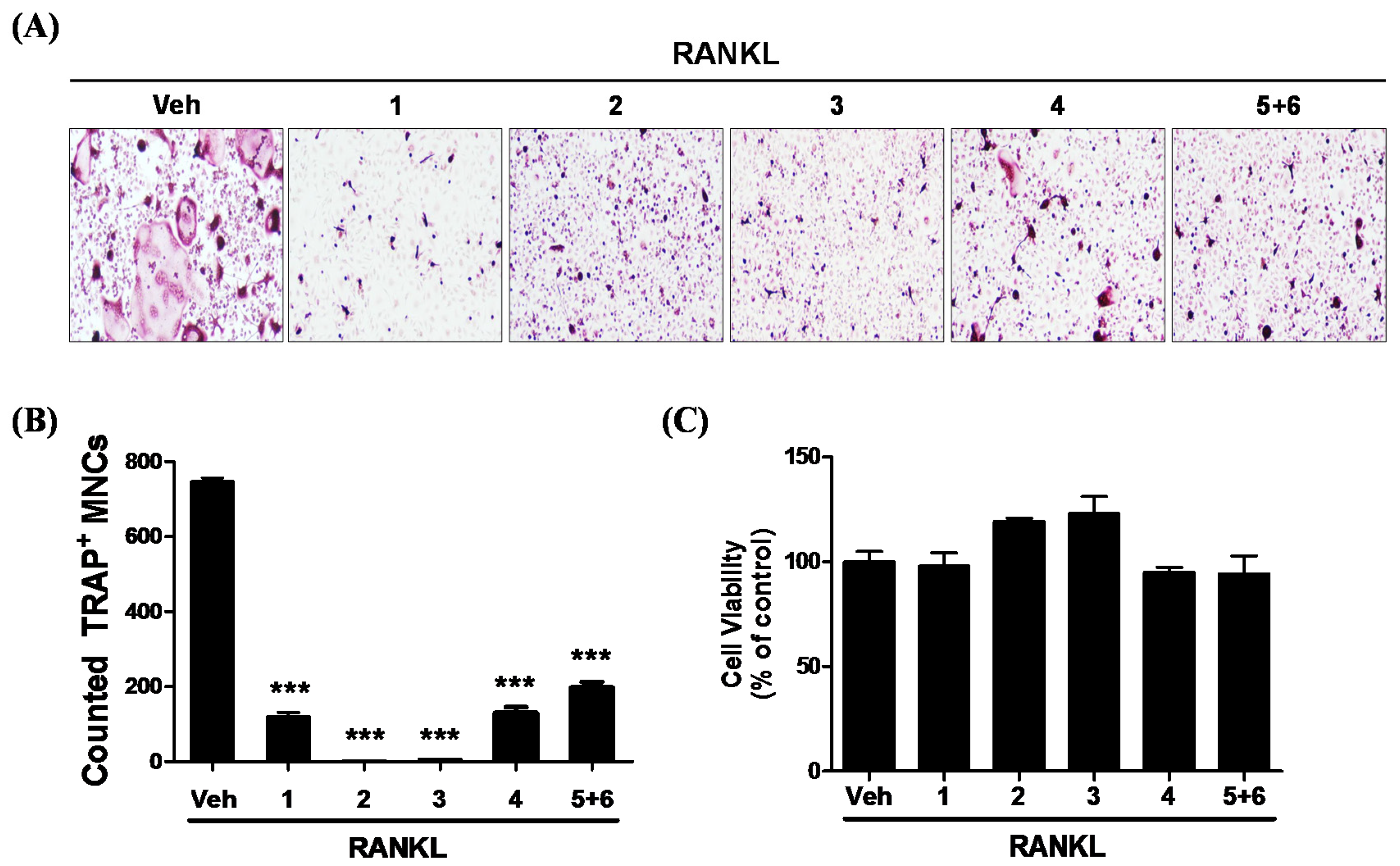 Molecules 25 02077 g002 Molecules 25 02077 g002