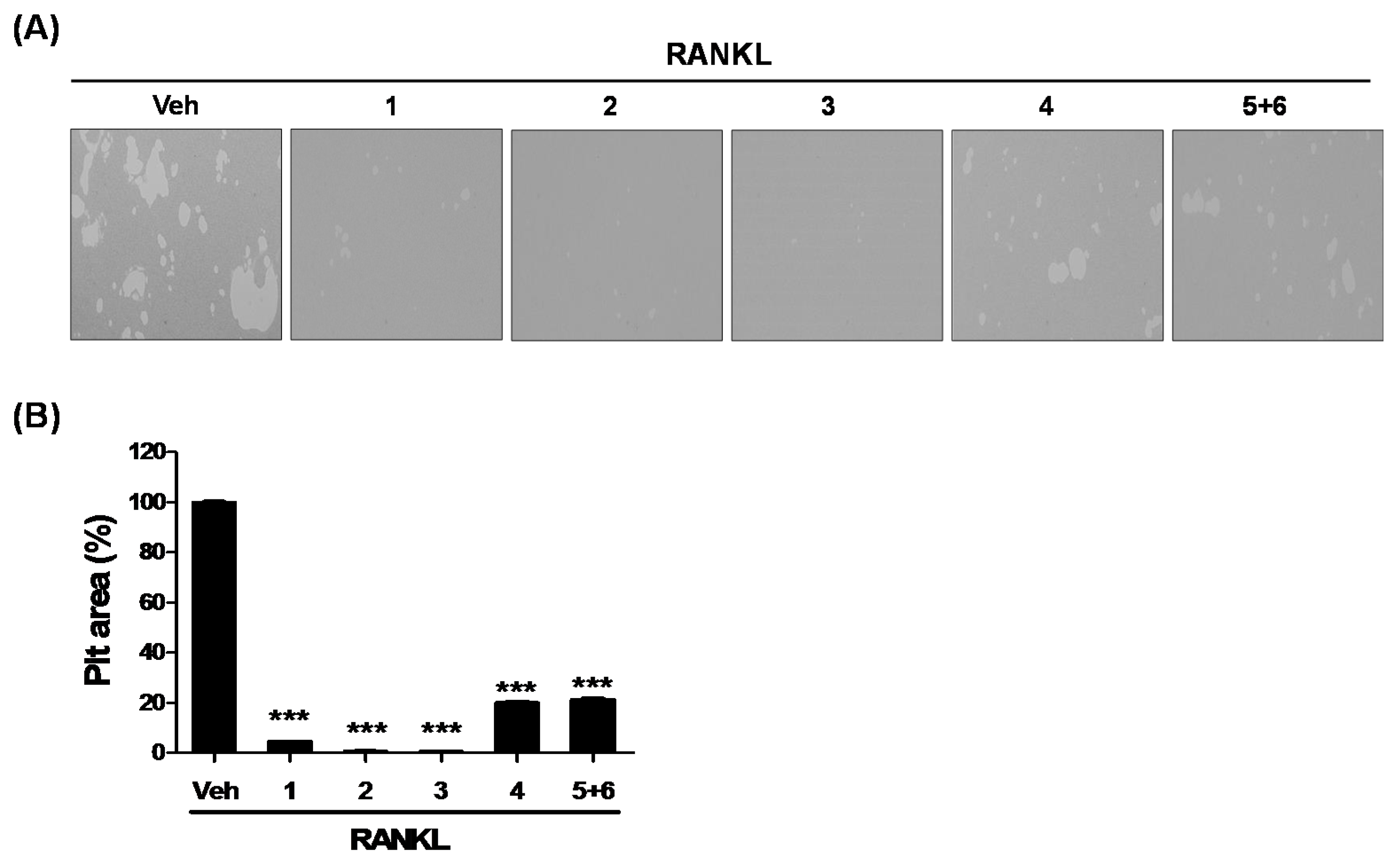 Molecules 25 02077 g004 Molecules 25 02077 g004