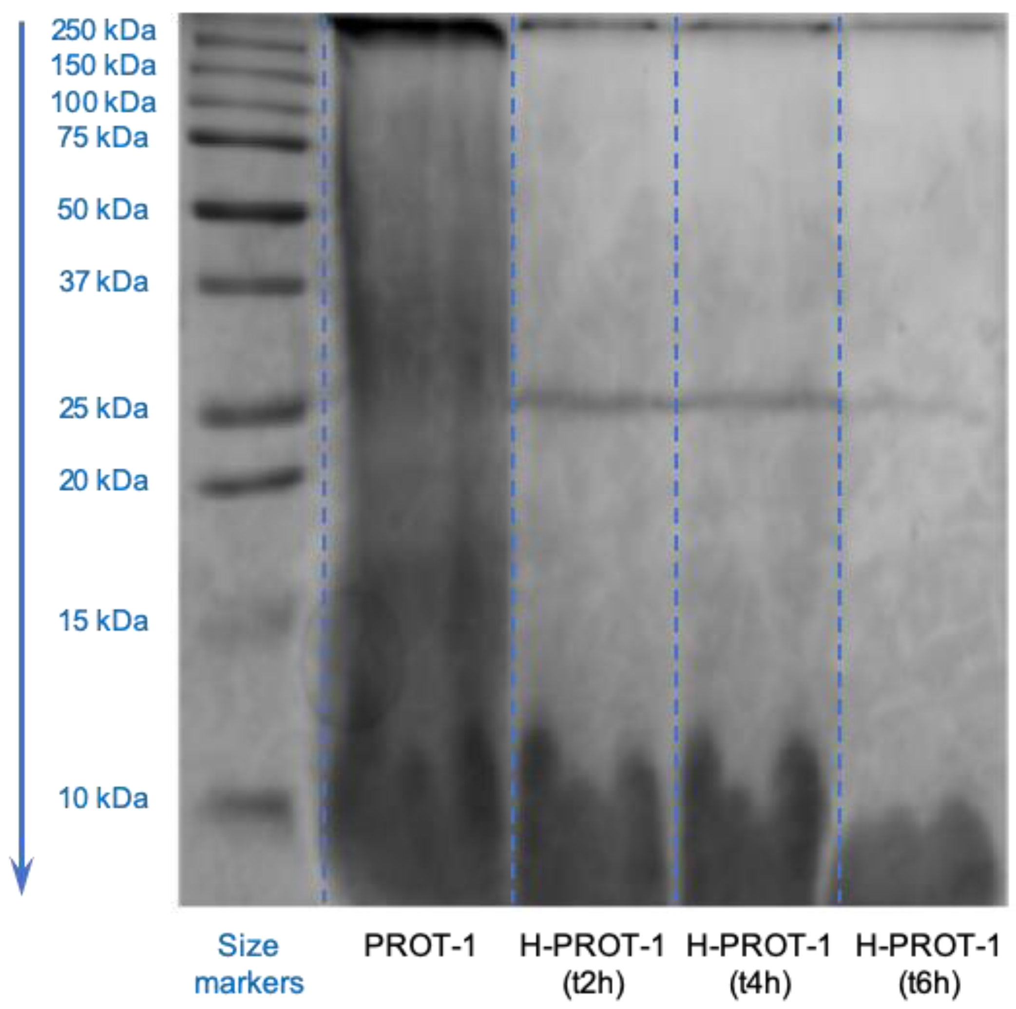 Molecules 25 02091 g003 Molecules 25 02091 g003
