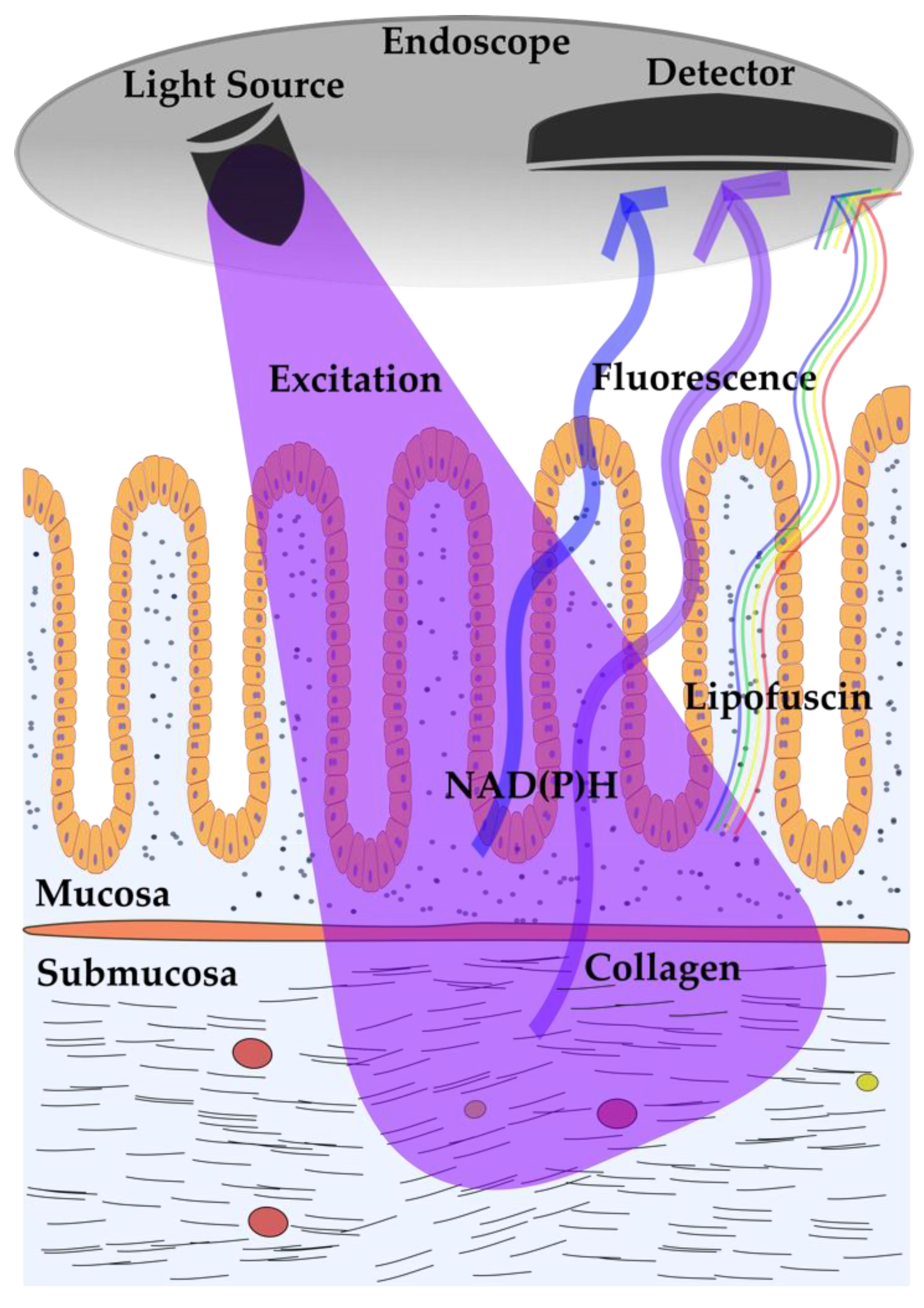 Molecules 25 02095 g001
