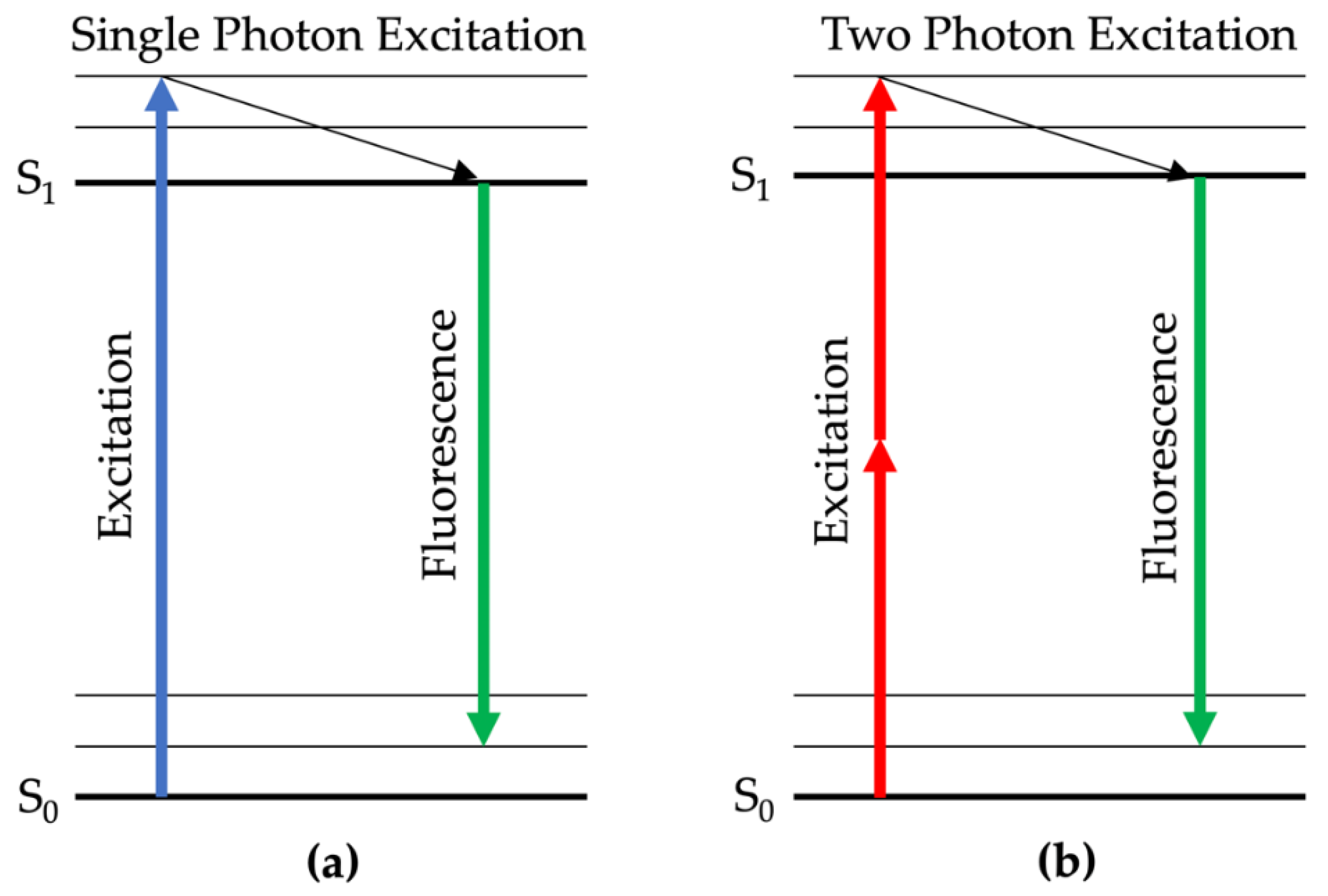 Molecules 25 02095 g003