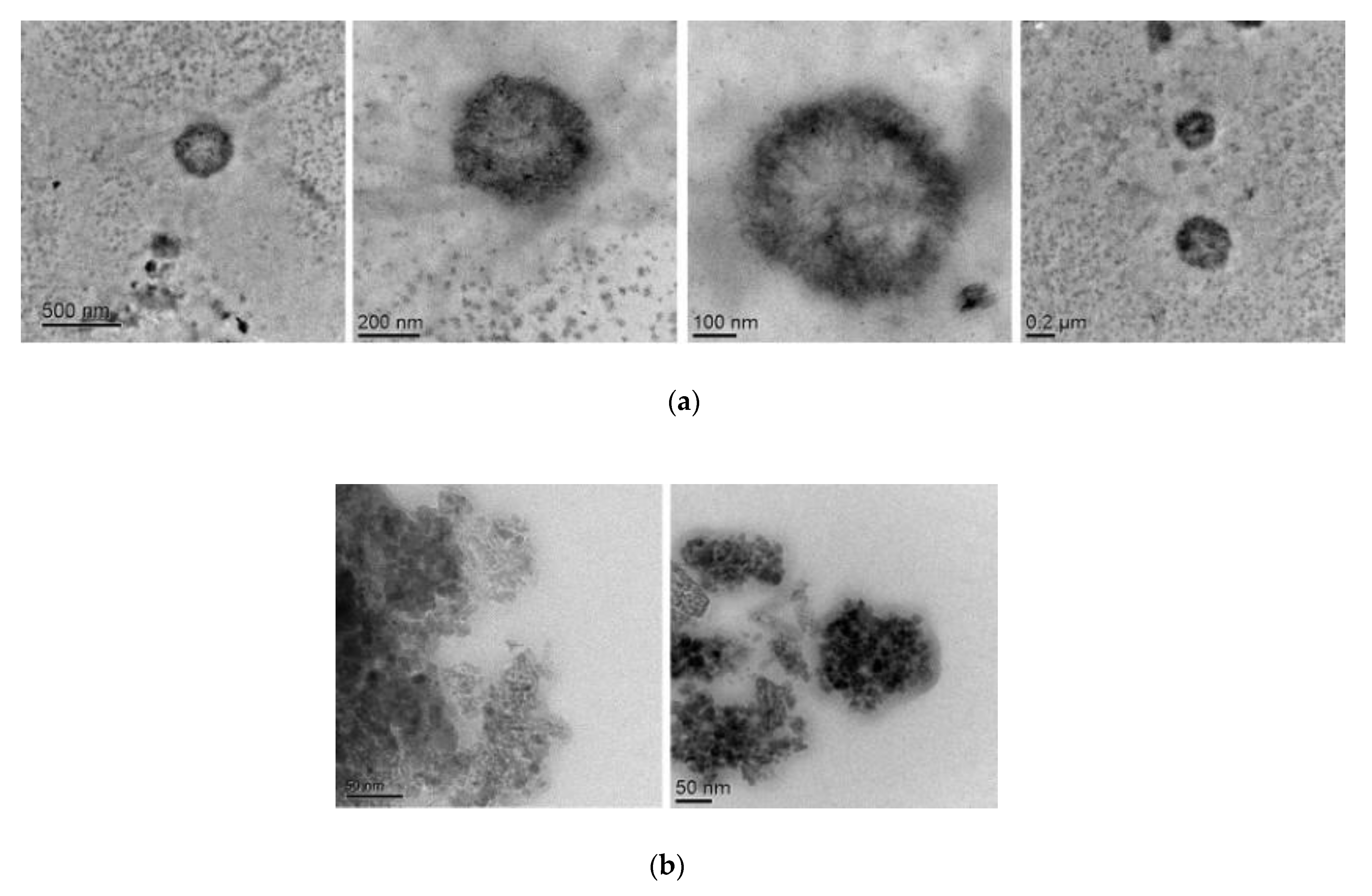 Molecules 25 02104 g001