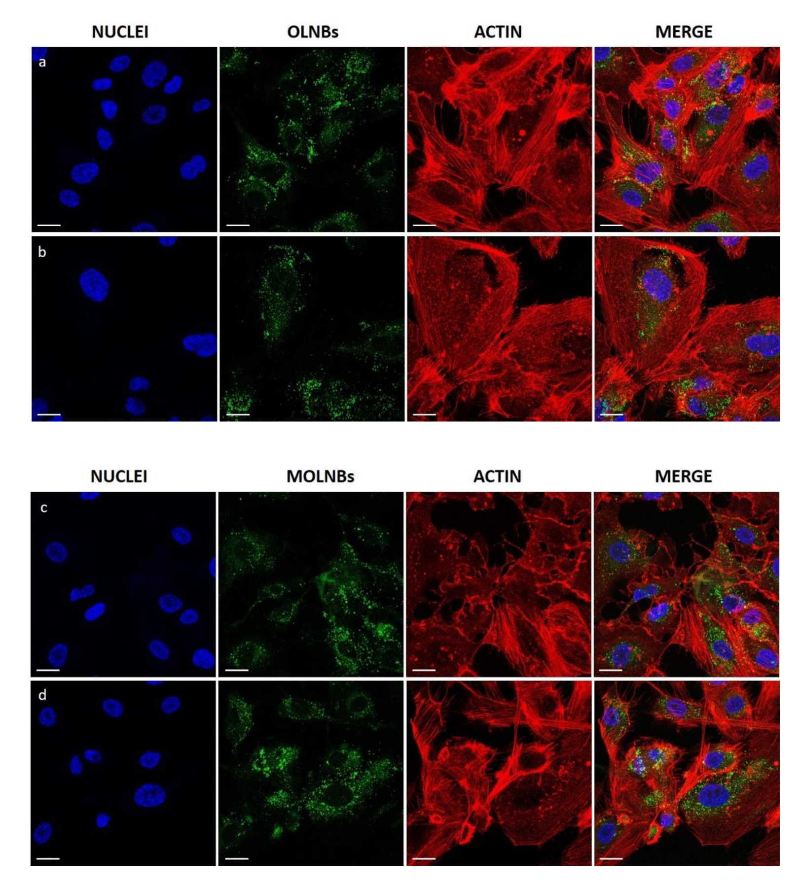 Molecules 25 02104 g002