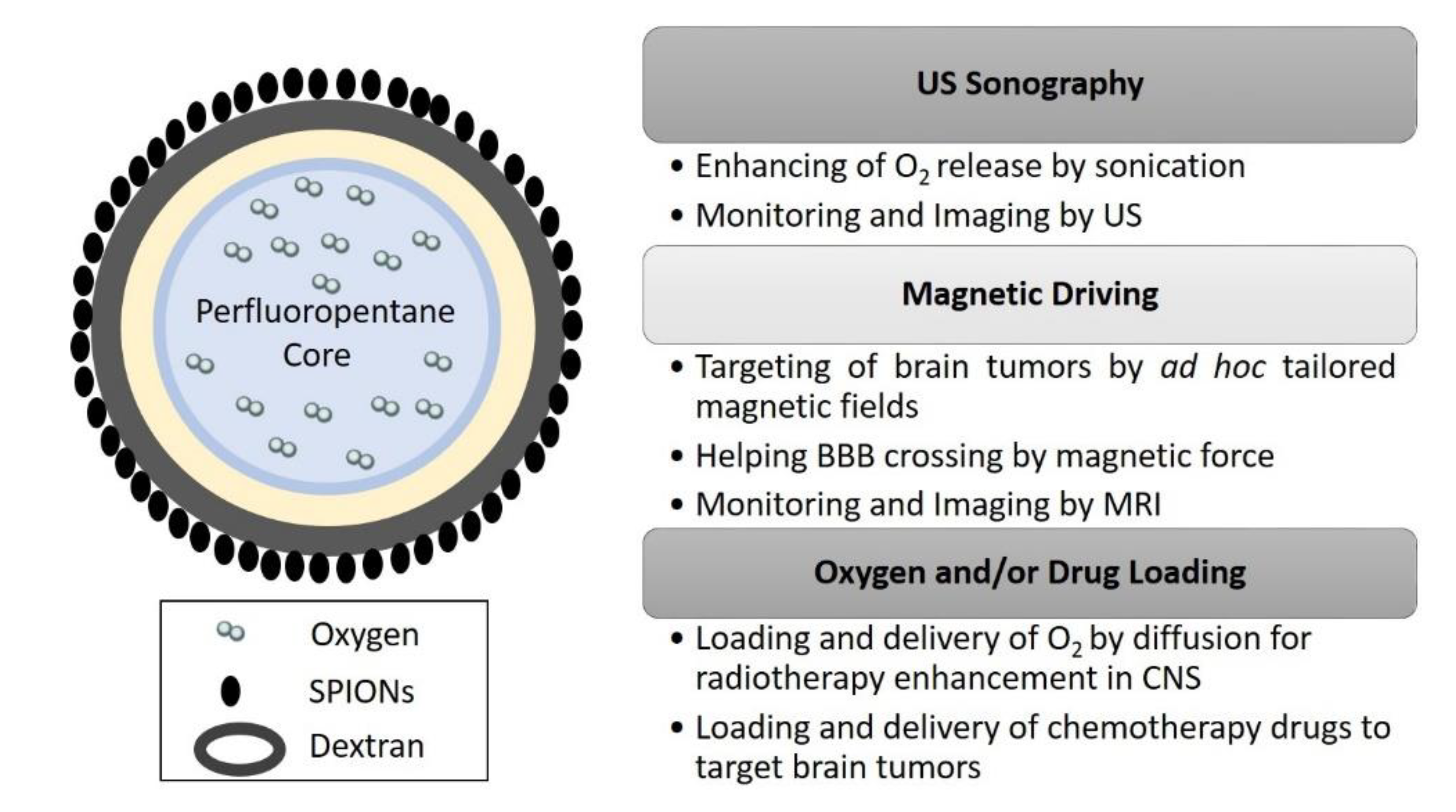 Molecules 25 02104 g005