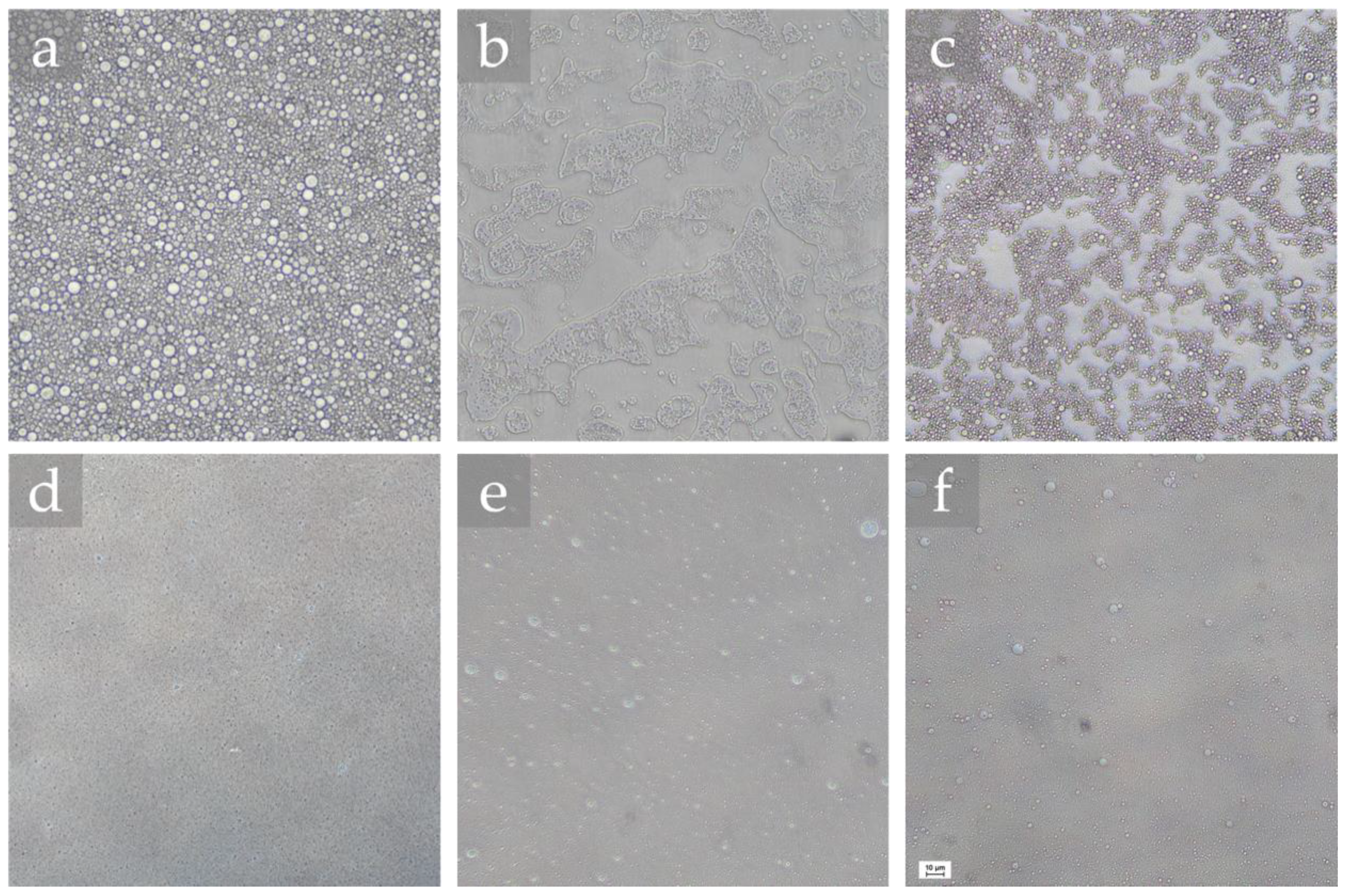 Molecules 25 02105 g001