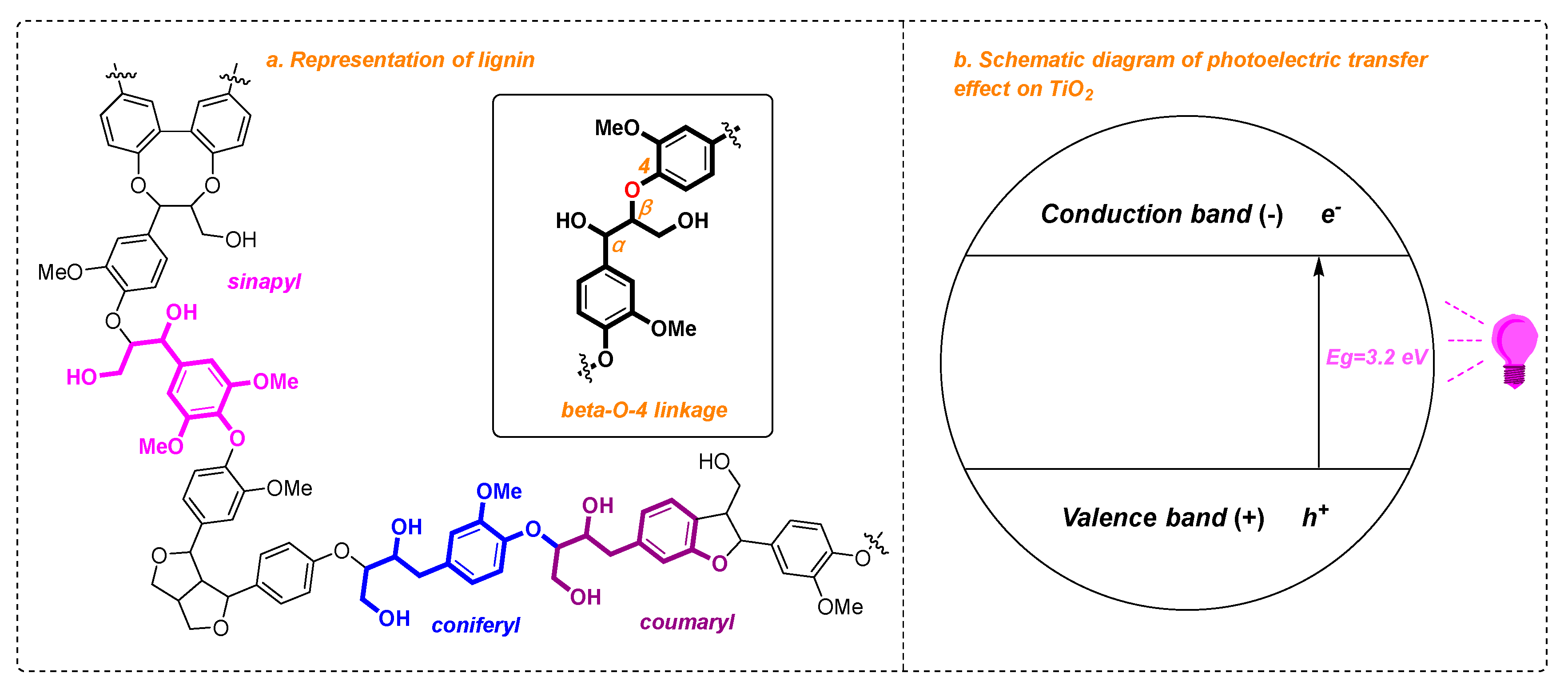 Molecules 25 02109 g001