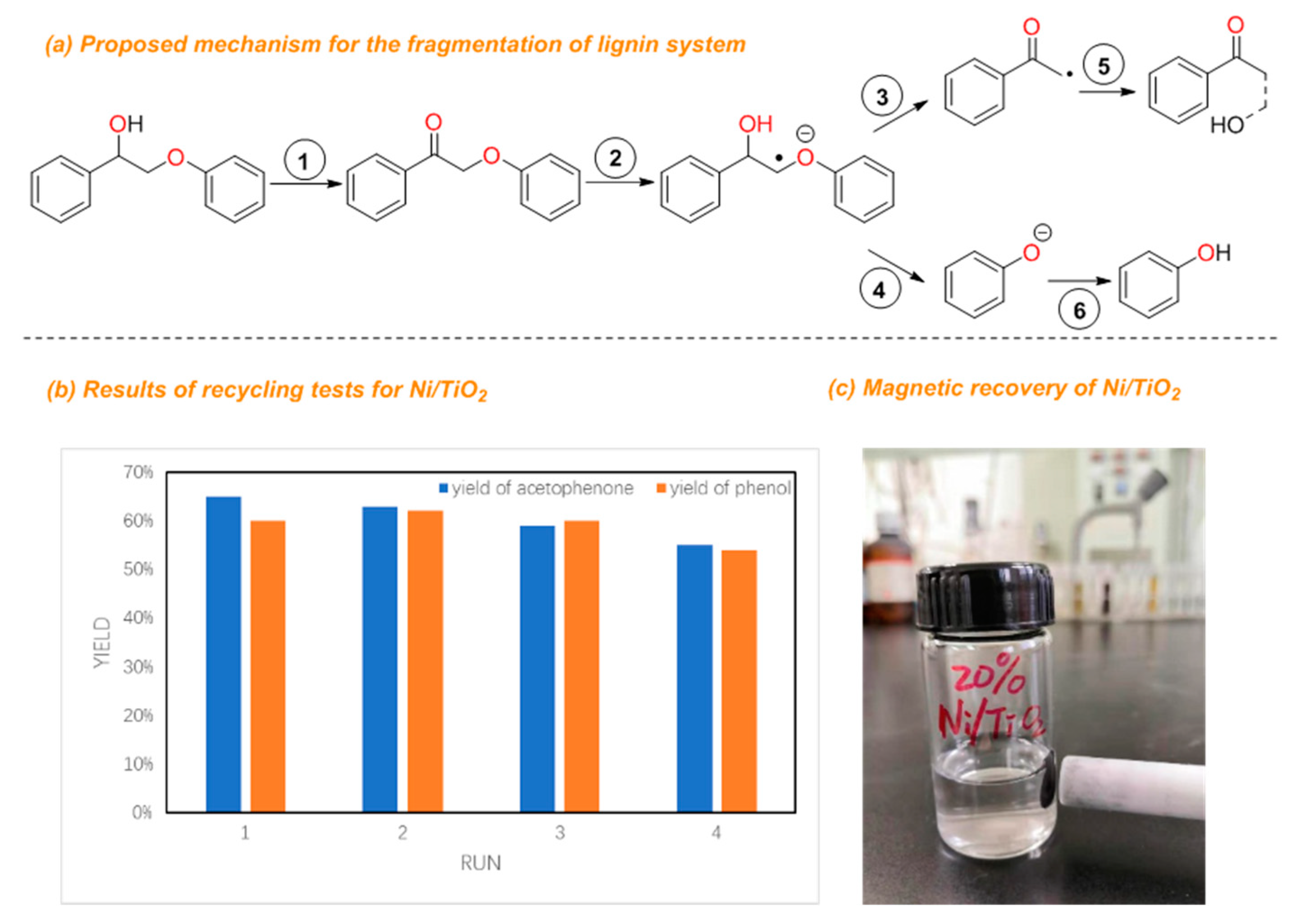 Molecules 25 02109 g004