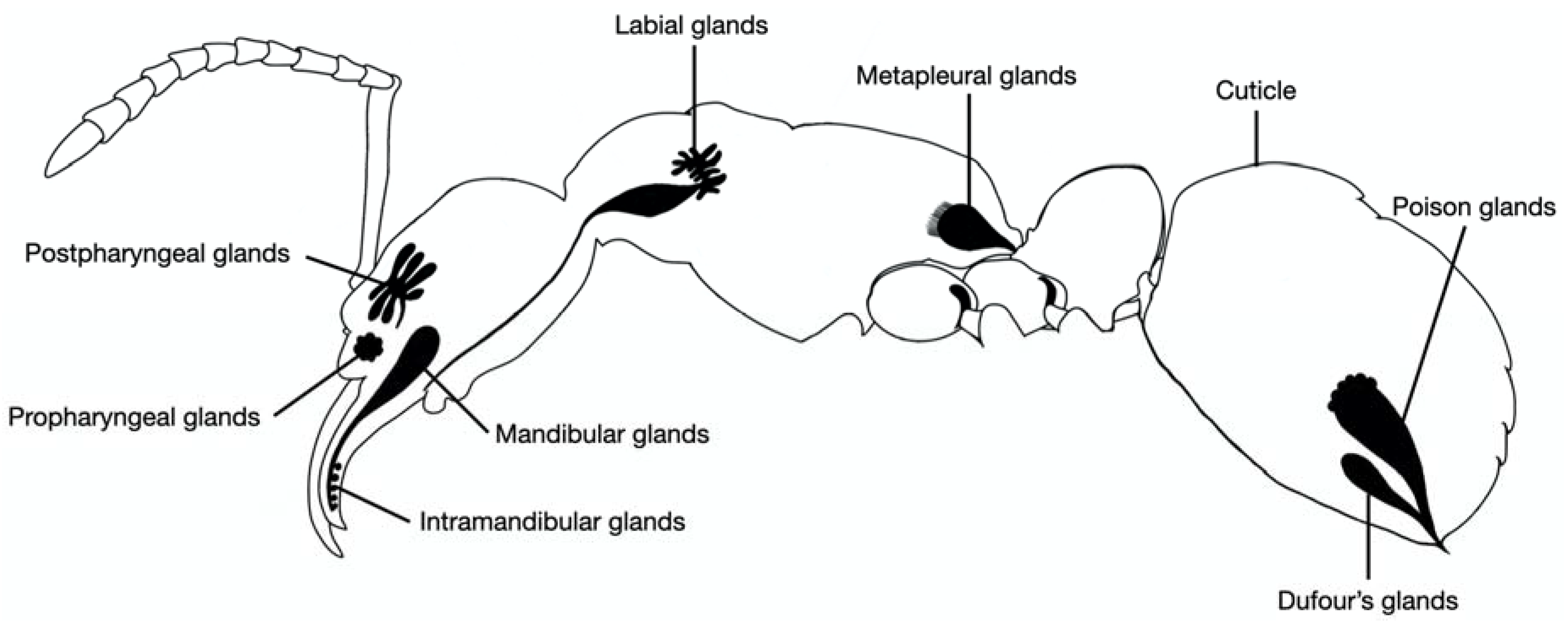 Molecules 25 02112 g003