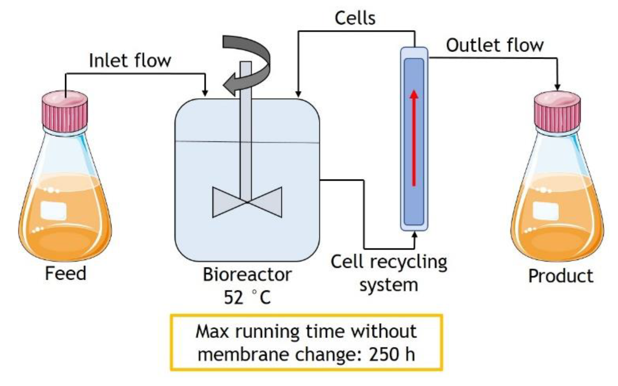 Molecules 25 02113 g006 Molecules 25 02113 g006