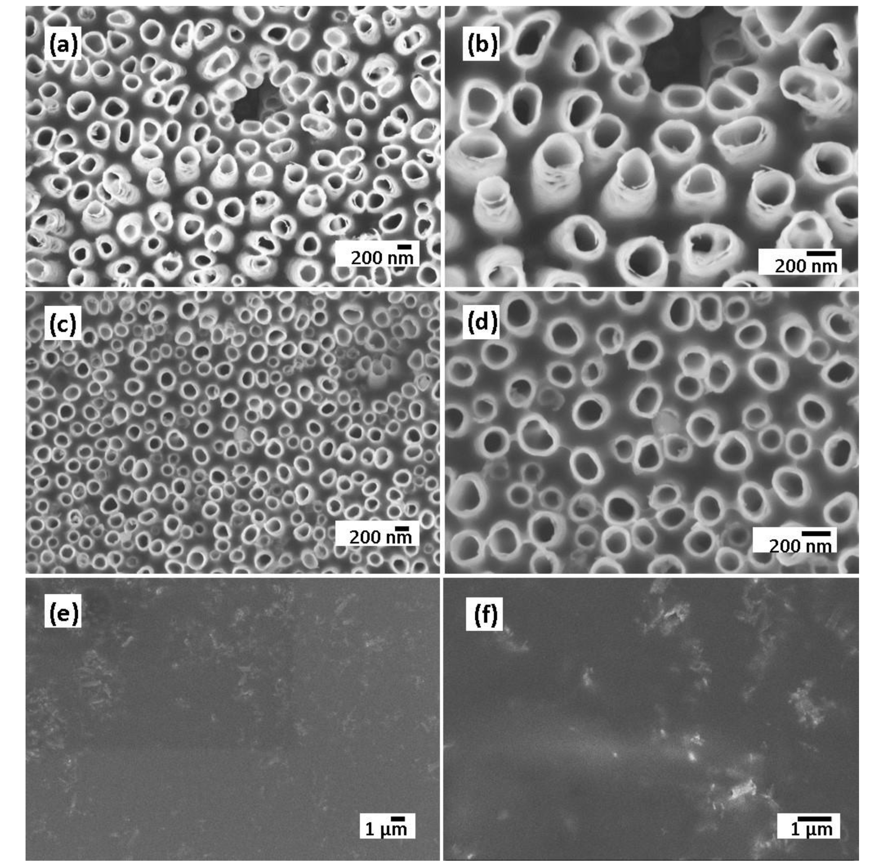 Molecules 25 02121 g004 Molecules 25 02121 g004