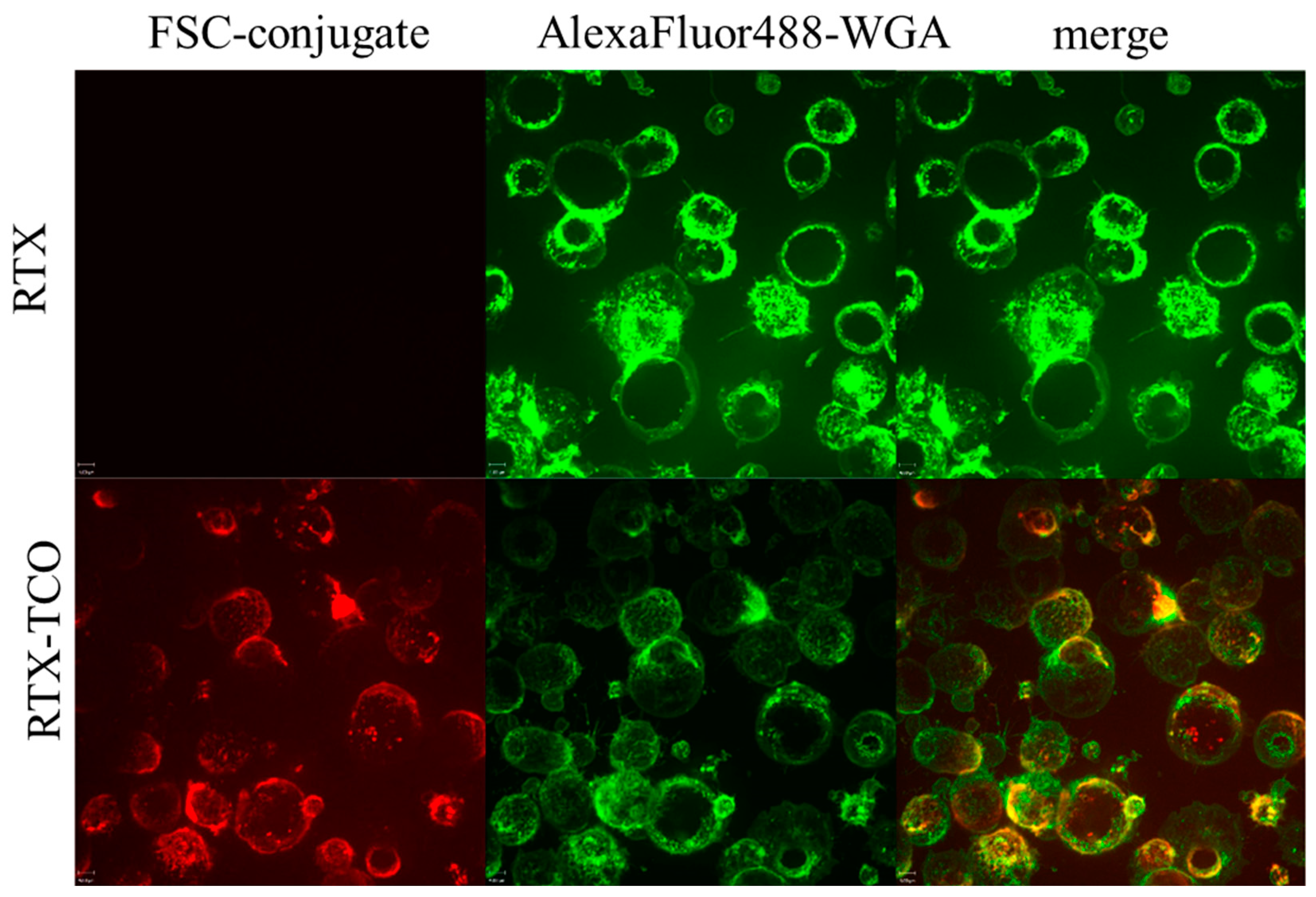 Molecules 25 02123 g003