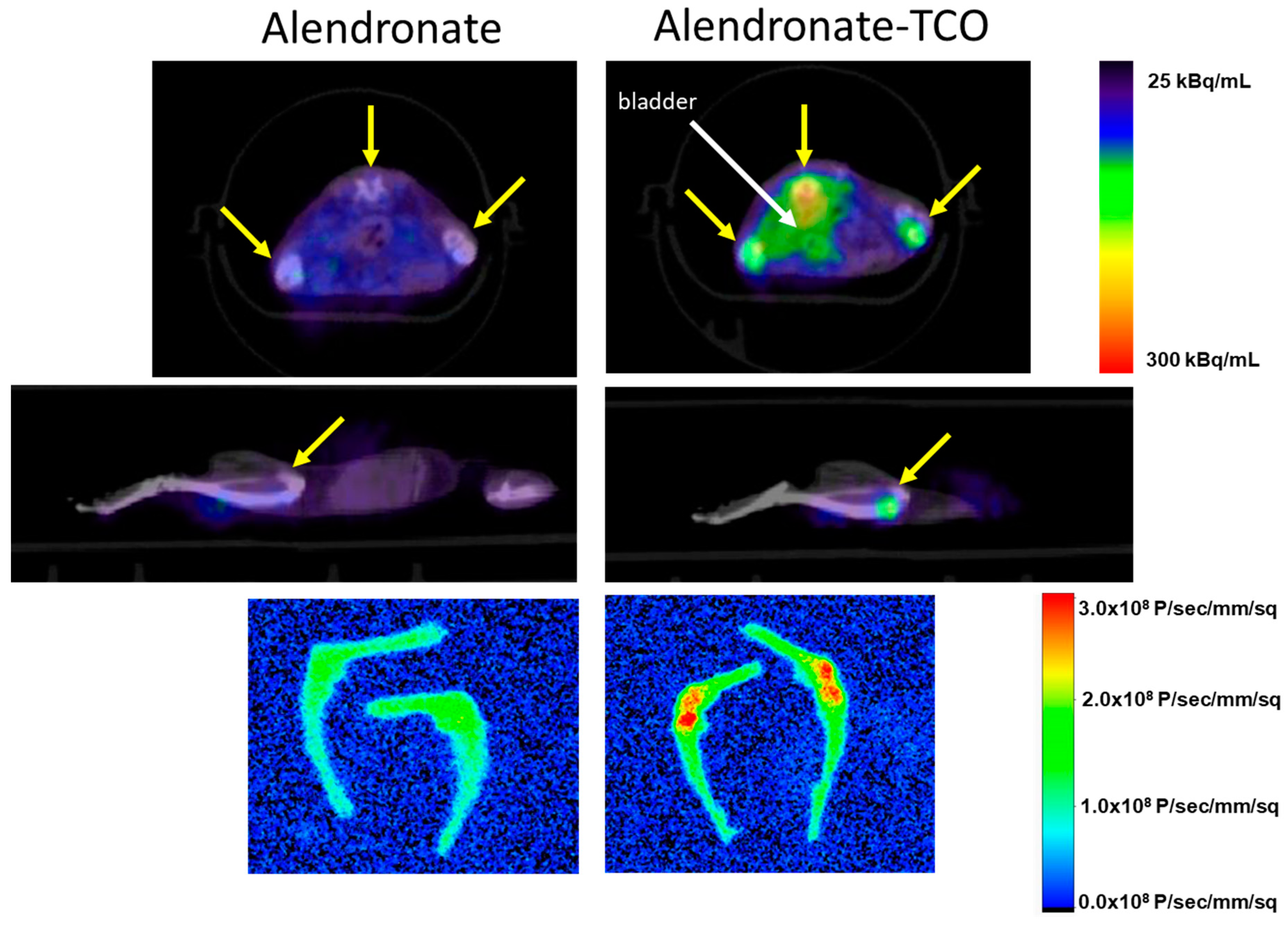 Molecules 25 02123 g005