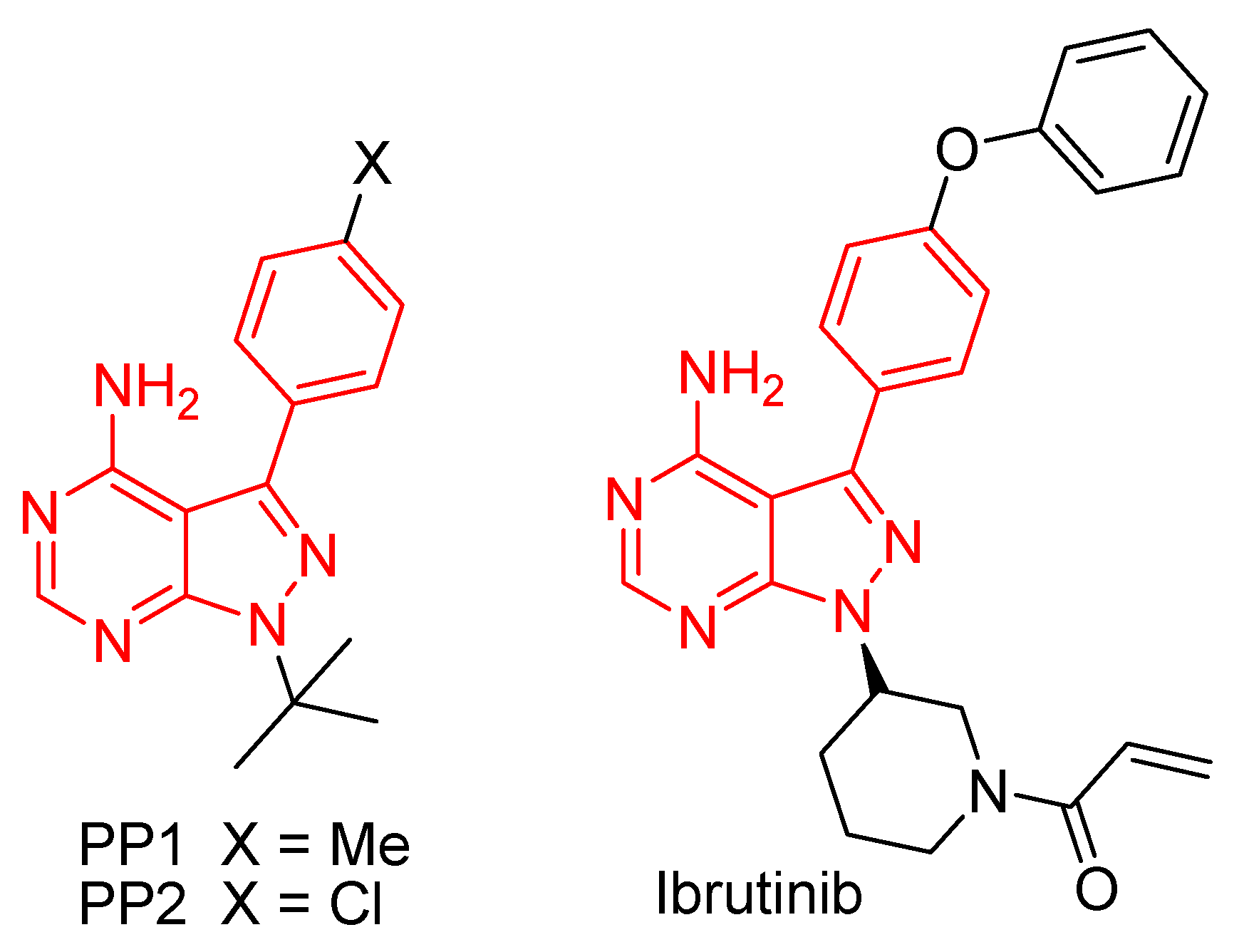 Molecules 25 02135 g001