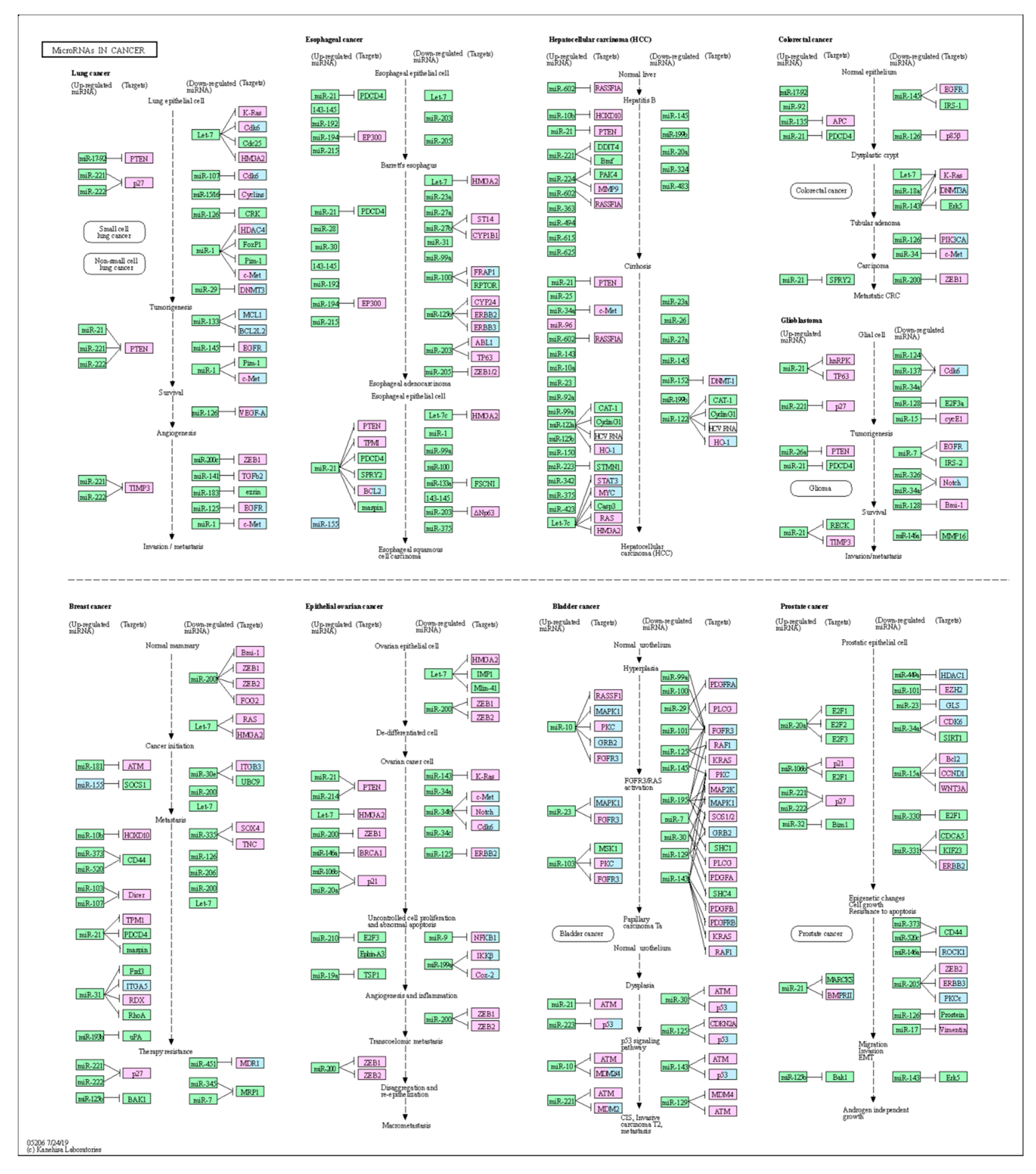 Molecules 25 02135 g005