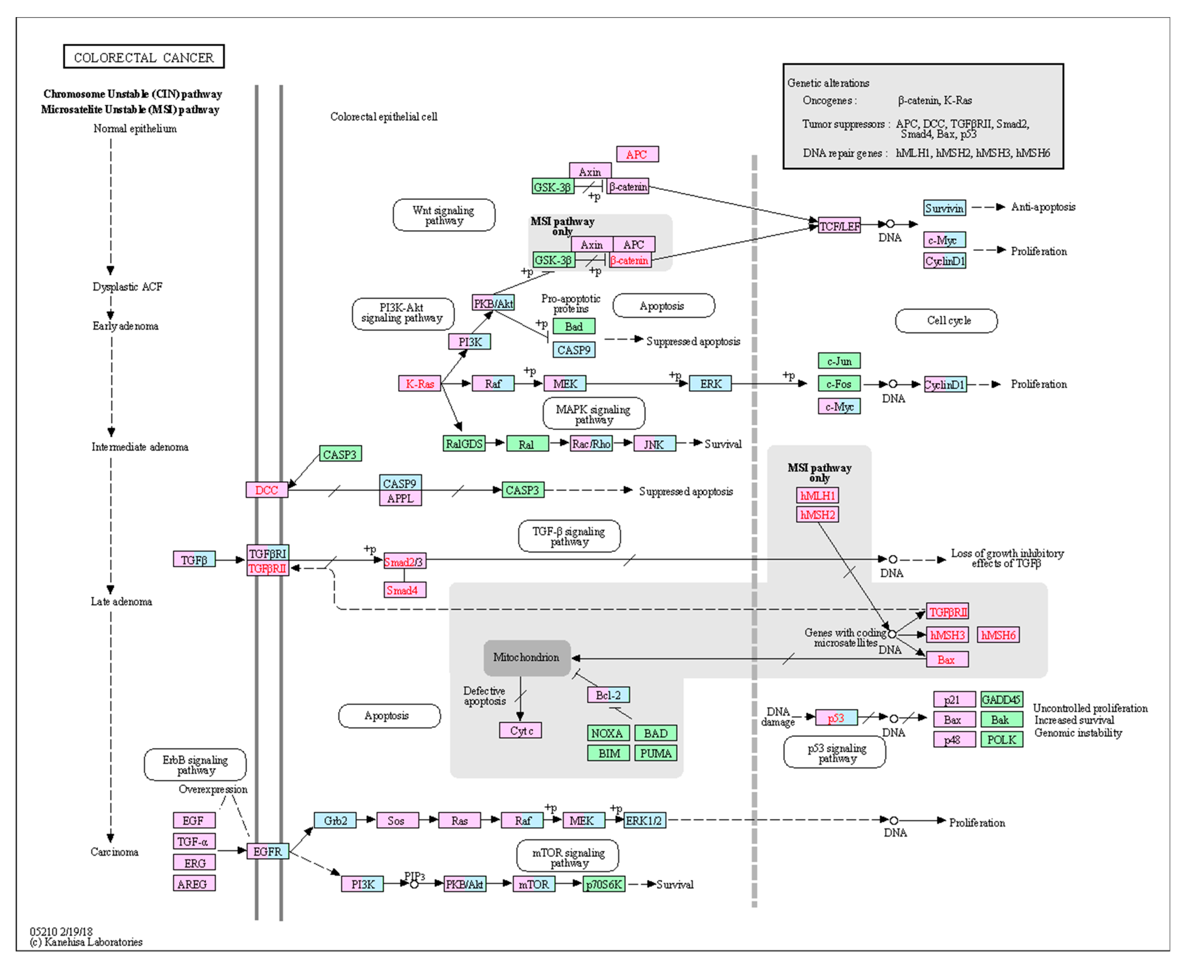 Molecules 25 02135 g006