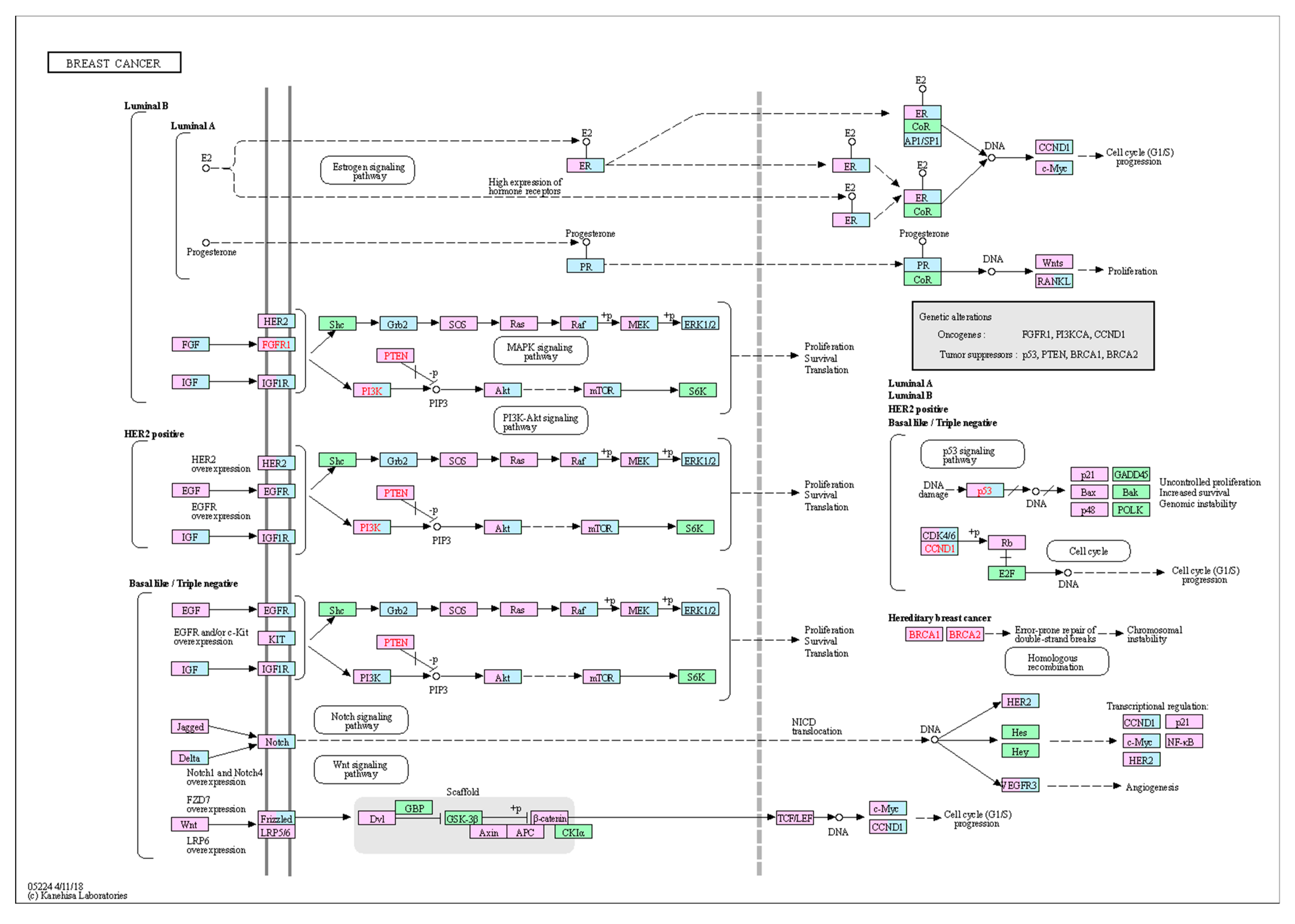 Molecules 25 02135 g007