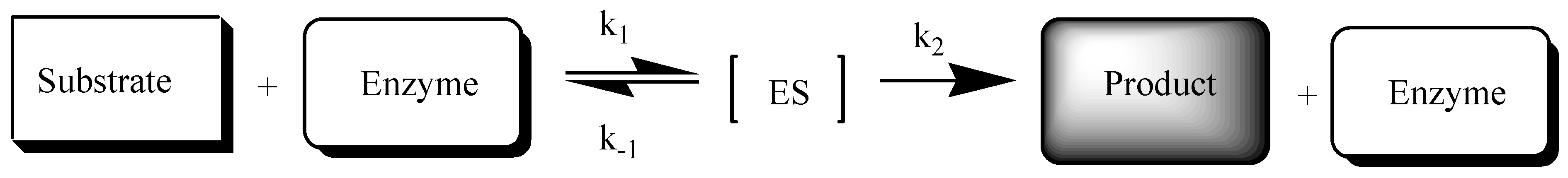 Molecules 25 02156 sch001