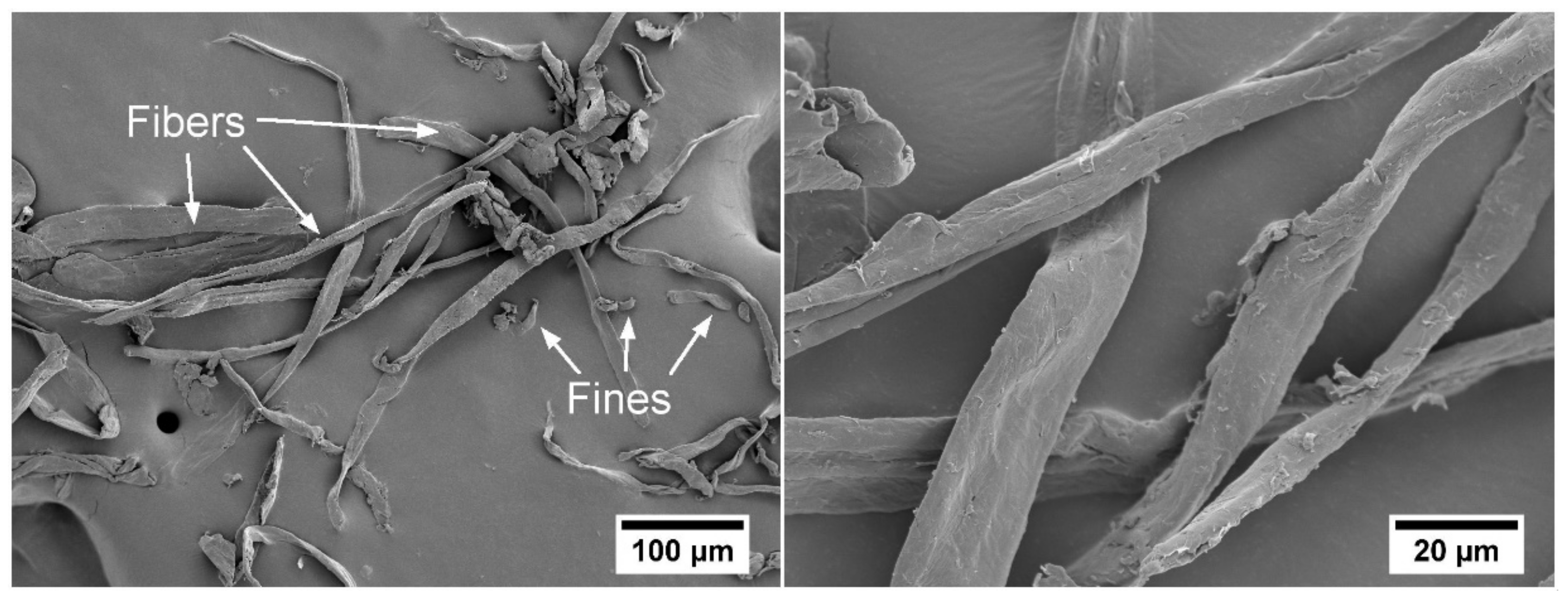 Molecules 25 02158 g002 Molecules 25 02158 g002