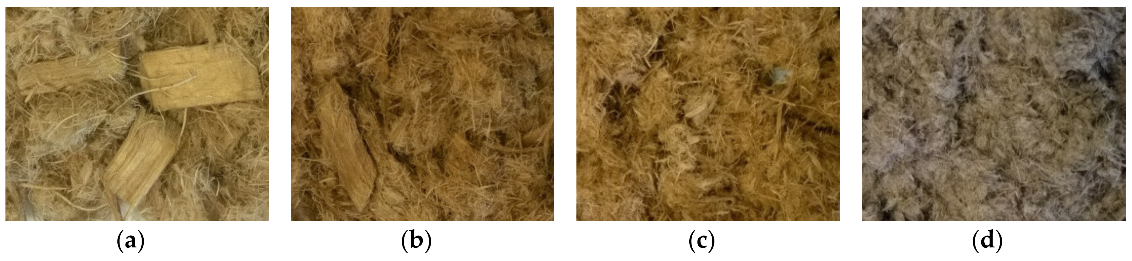 Molecules 25 02165 g006