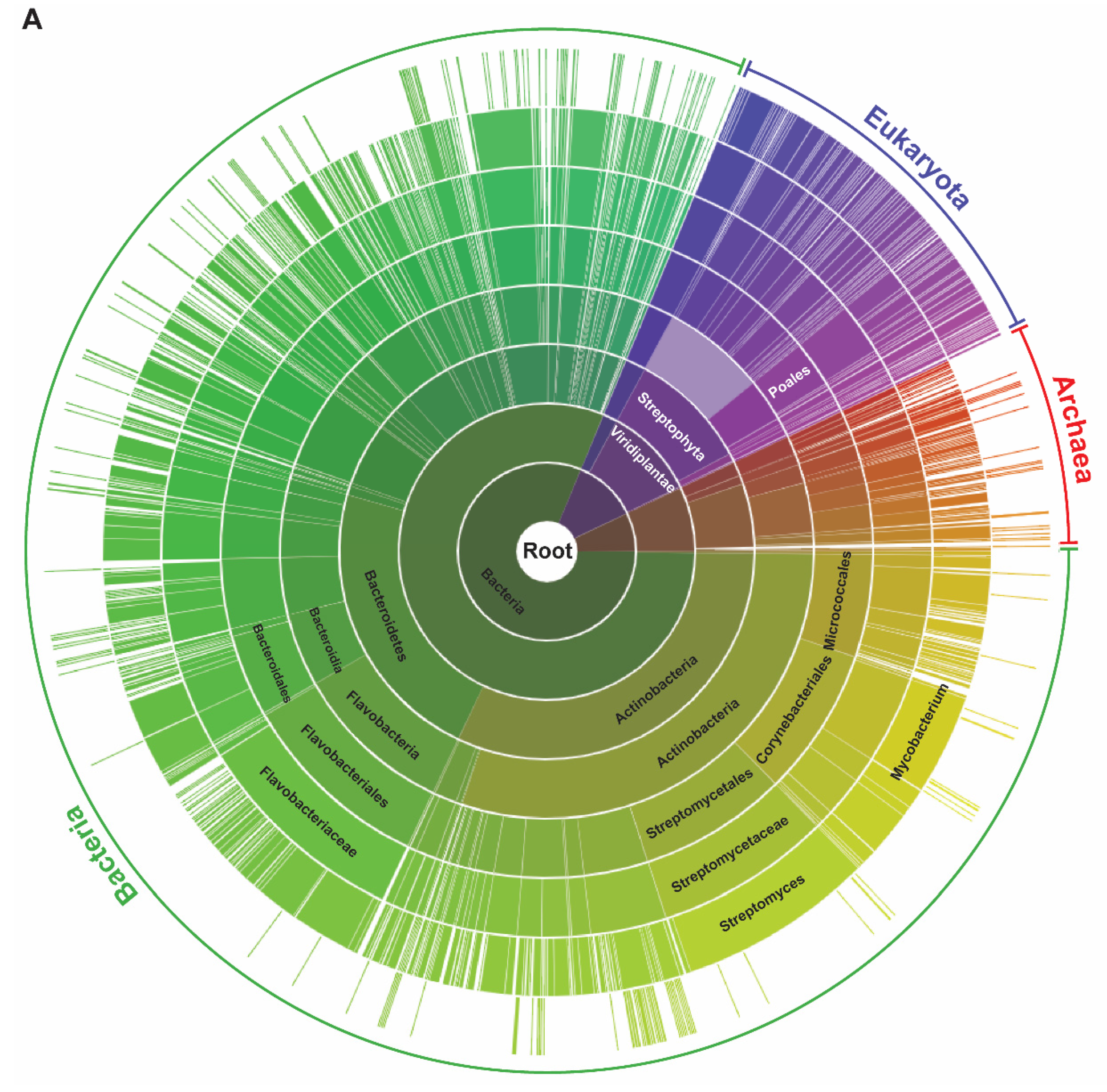 Molecules 25 02169 g001a