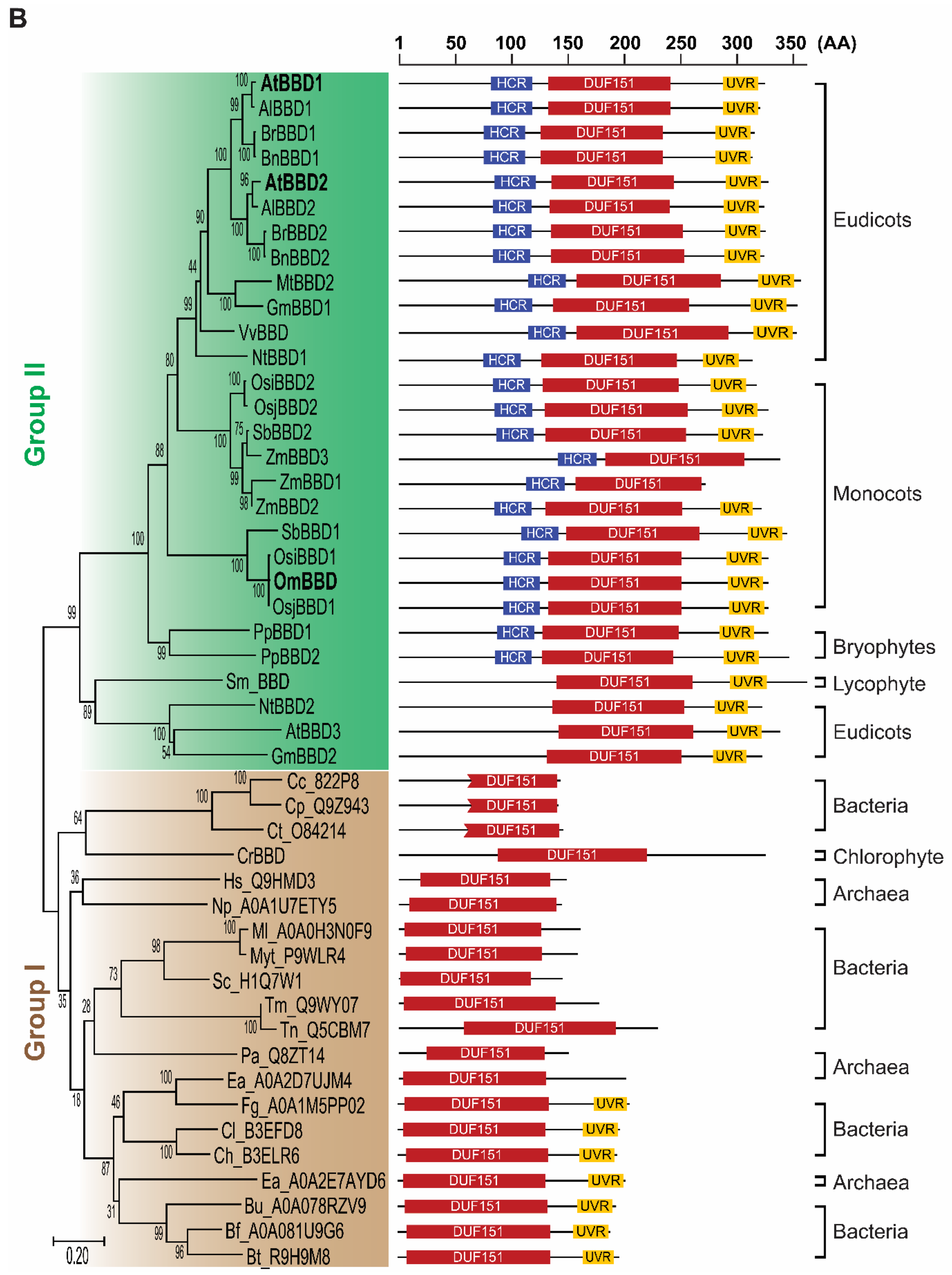 Molecules 25 02169 g001b