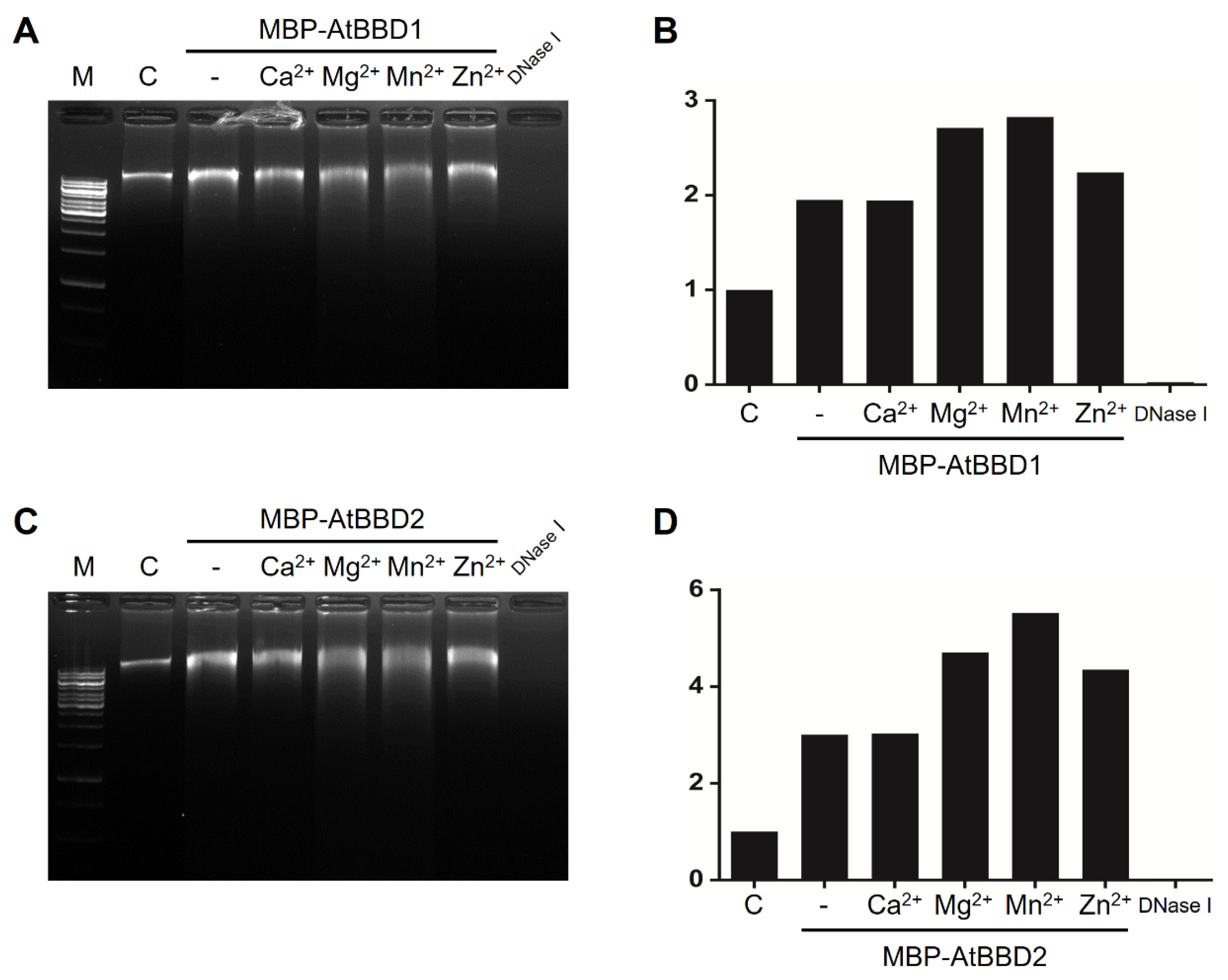 Molecules 25 02169 g005