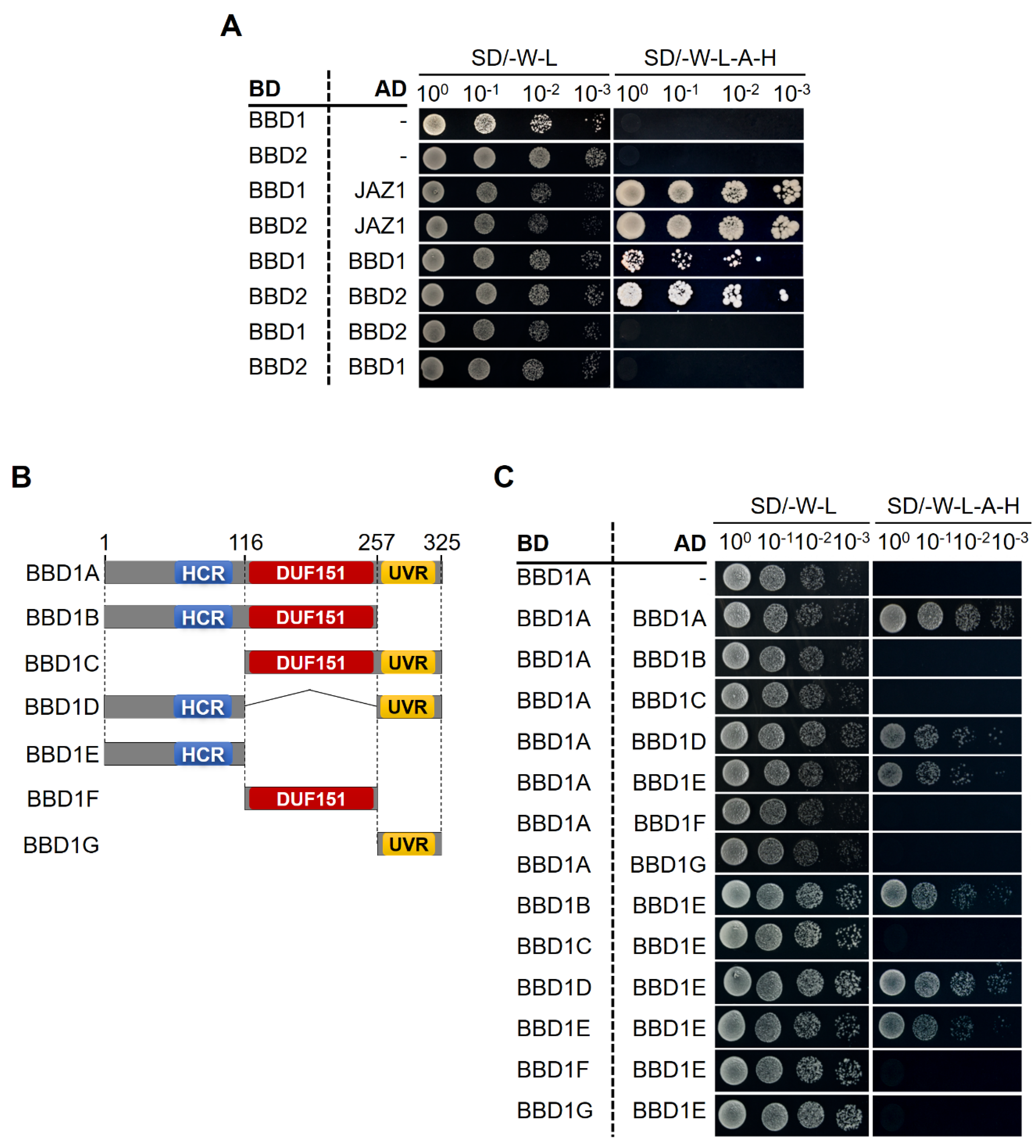 Molecules 25 02169 g008