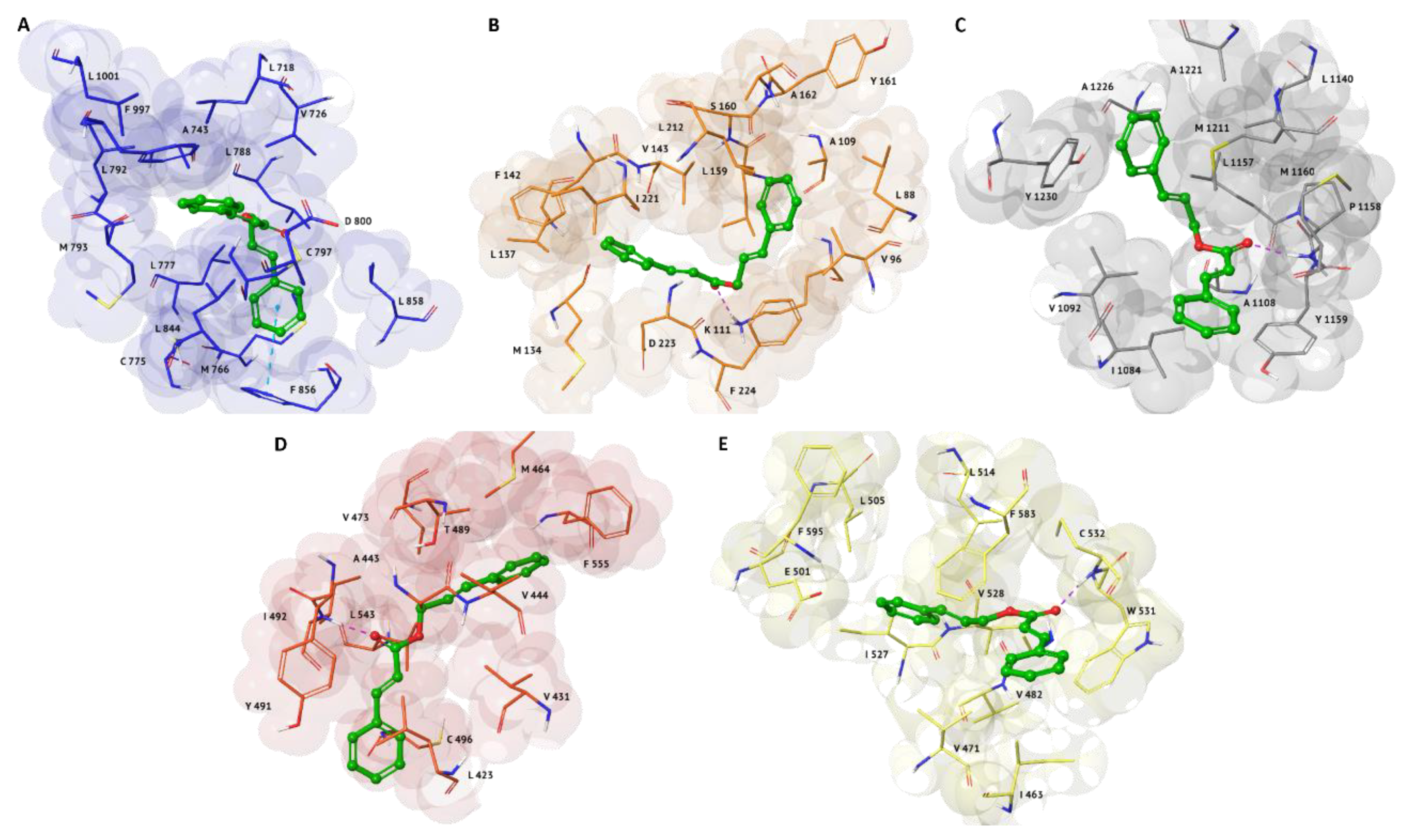 Molecules 25 02174 g002