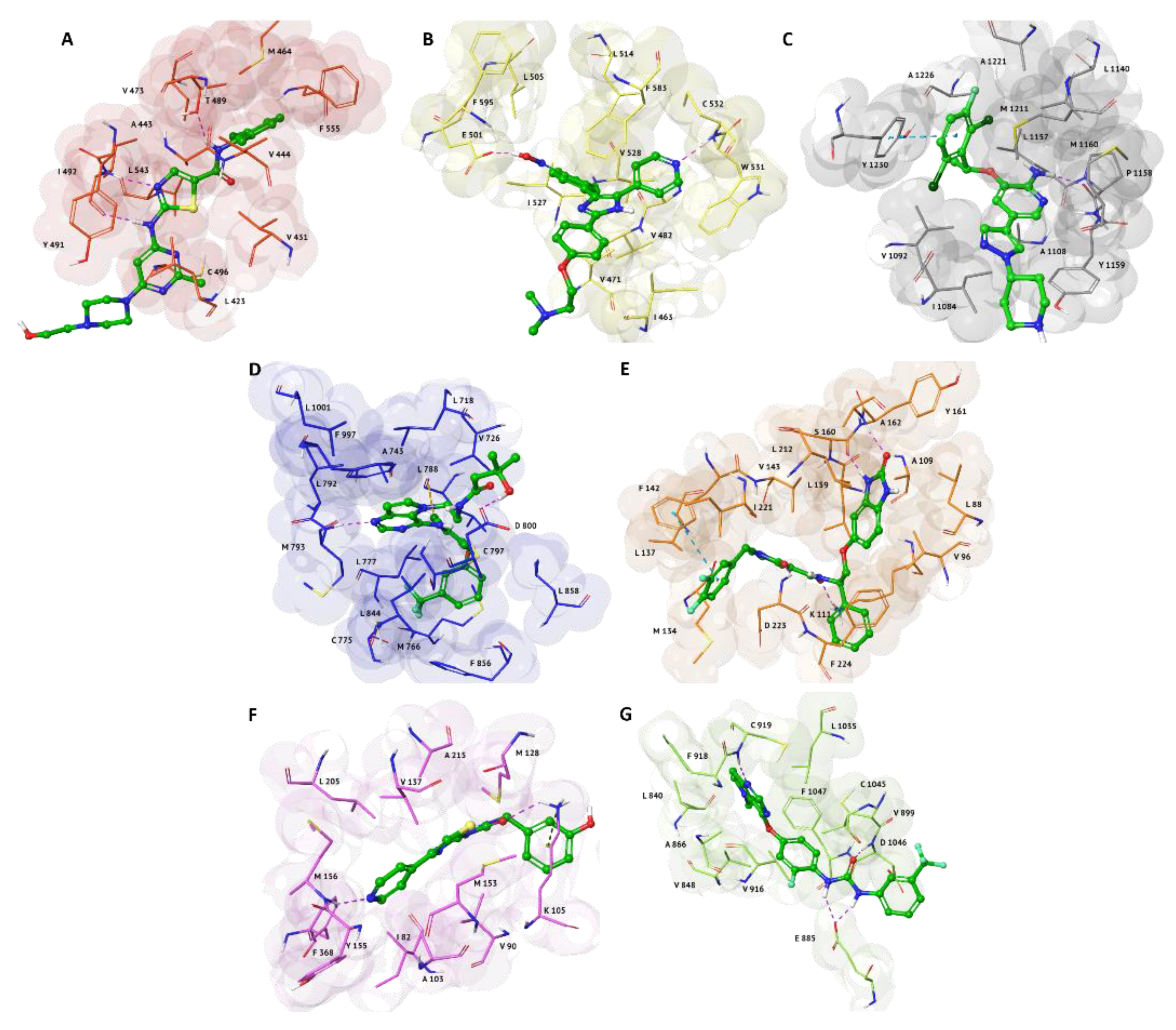 Molecules 25 02174 g003