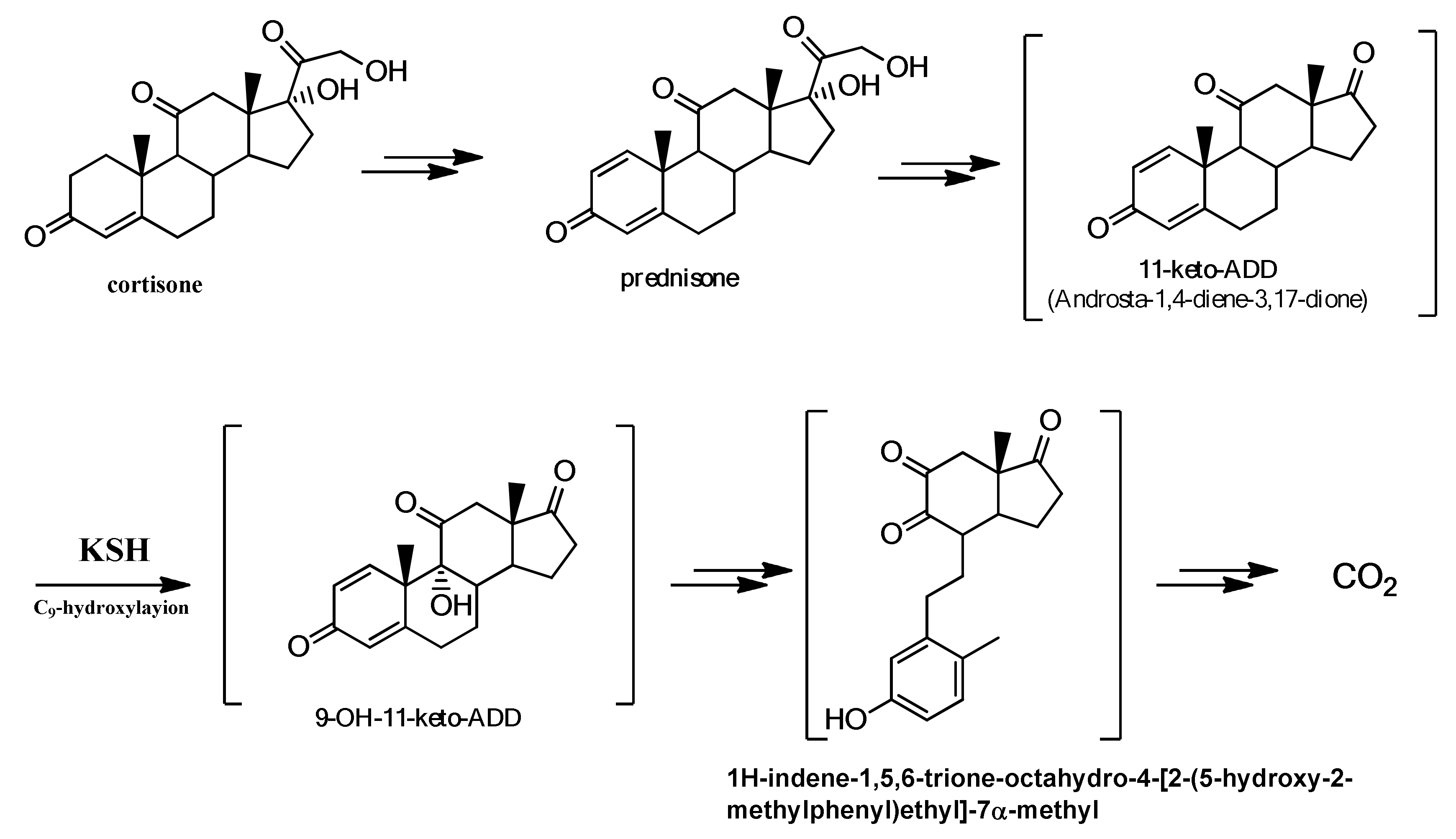 Molecules 25 02192 g004