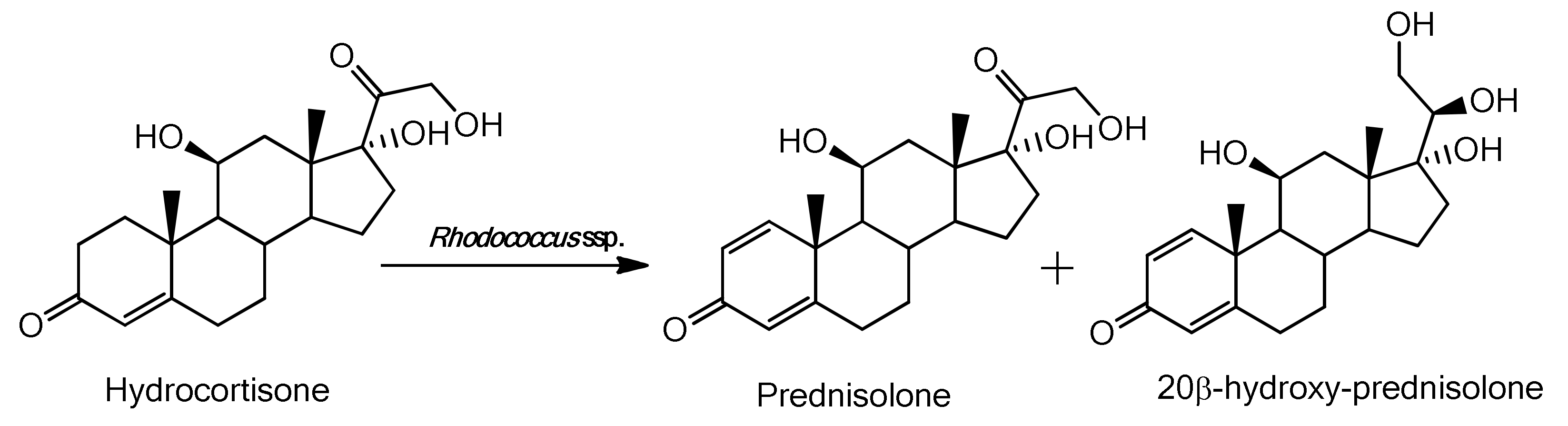 Molecules 25 02192 g006