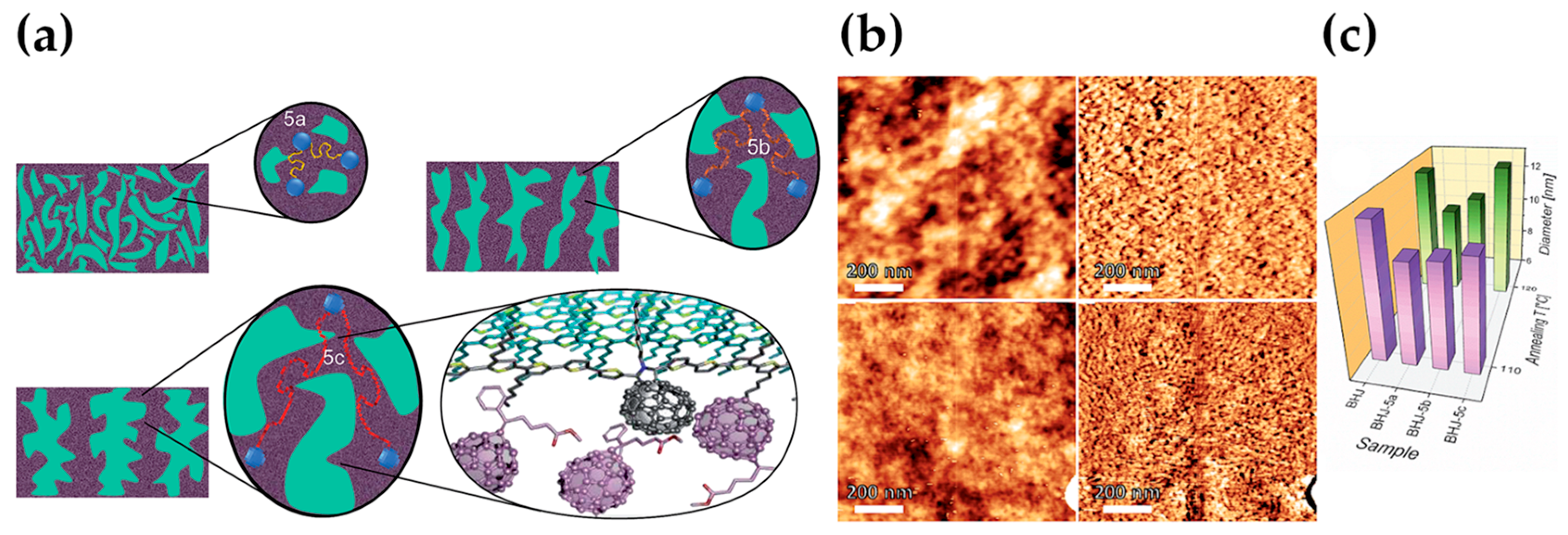 Molecules 25 02200 g008