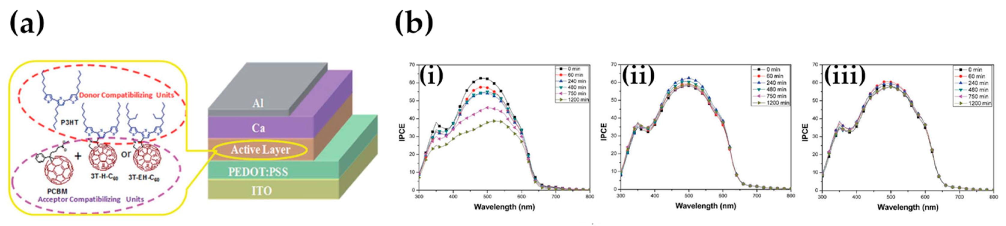 Molecules 25 02200 g012