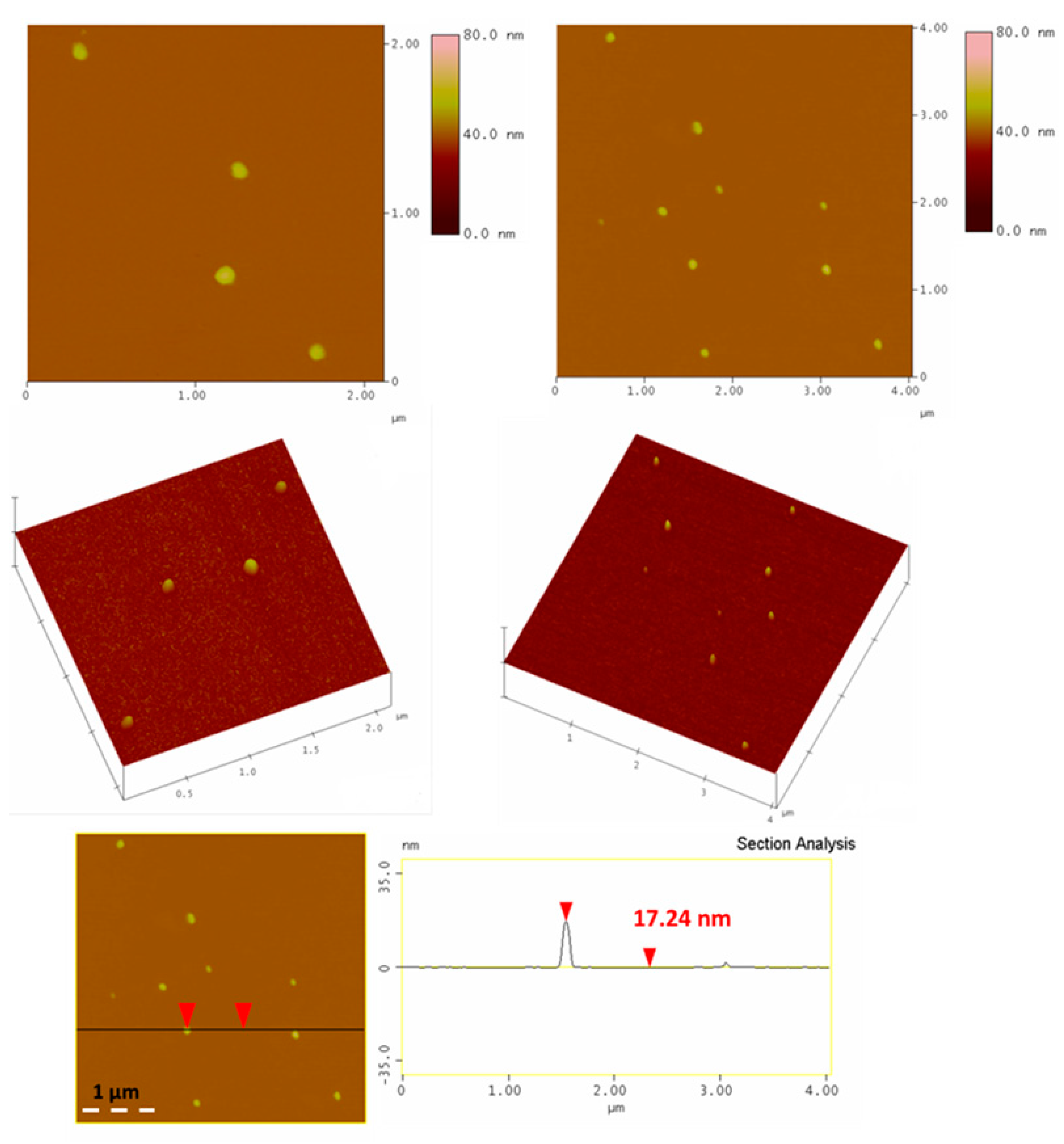Molecules 25 02207 g007 Molecules 25 02207 g007
