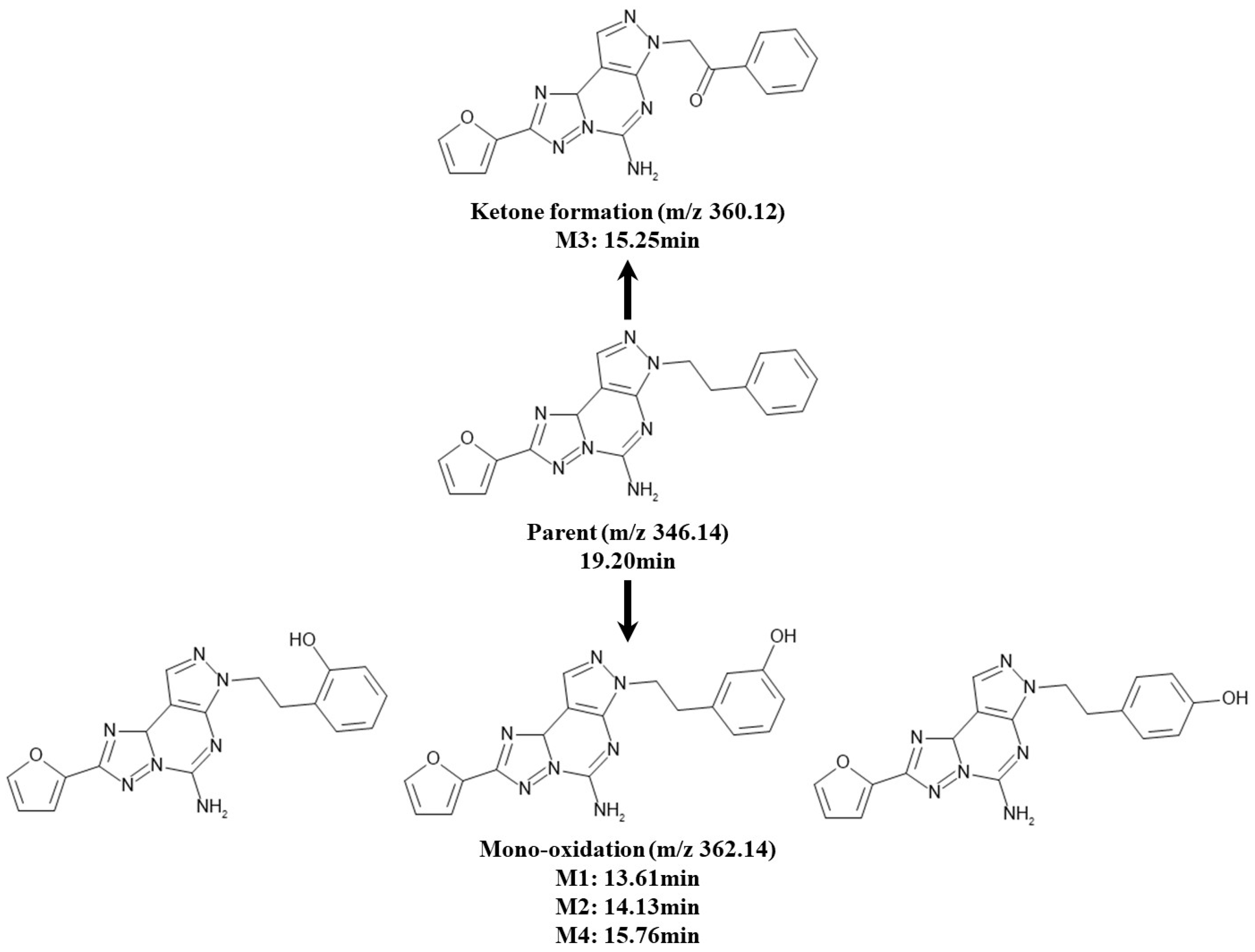 Molecules 25 02209 g008